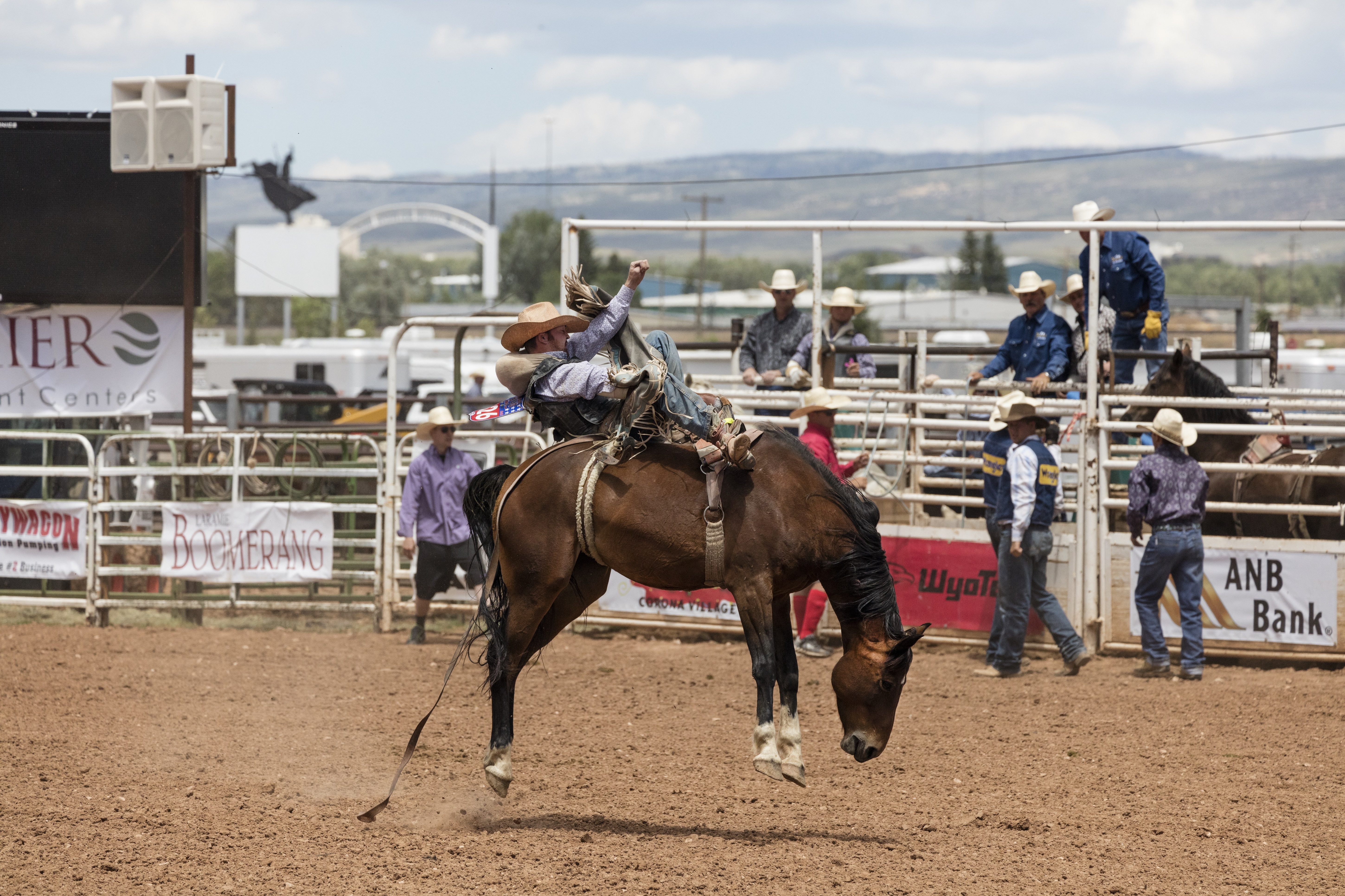 Rodeo Horse Sport Cowboy 5800x3866