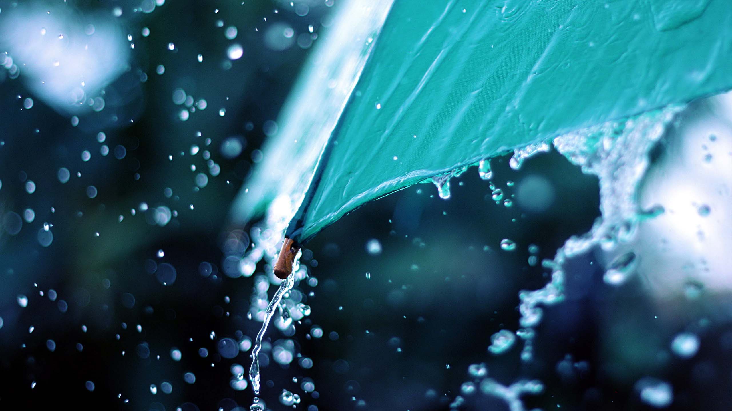 Nature Rain Umbrella Splashes Cyan Wet 2560x1440