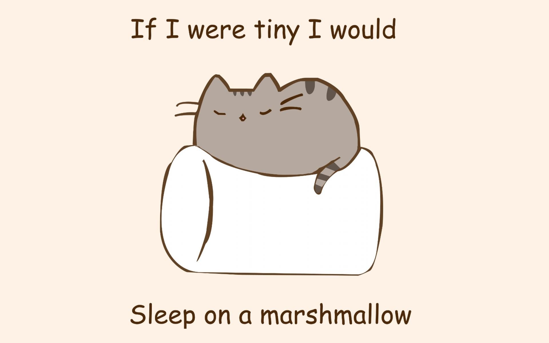 Cats Marshmallows Artwork Typography Minimalism Humor Animals Beige Beige Background 1920x1200