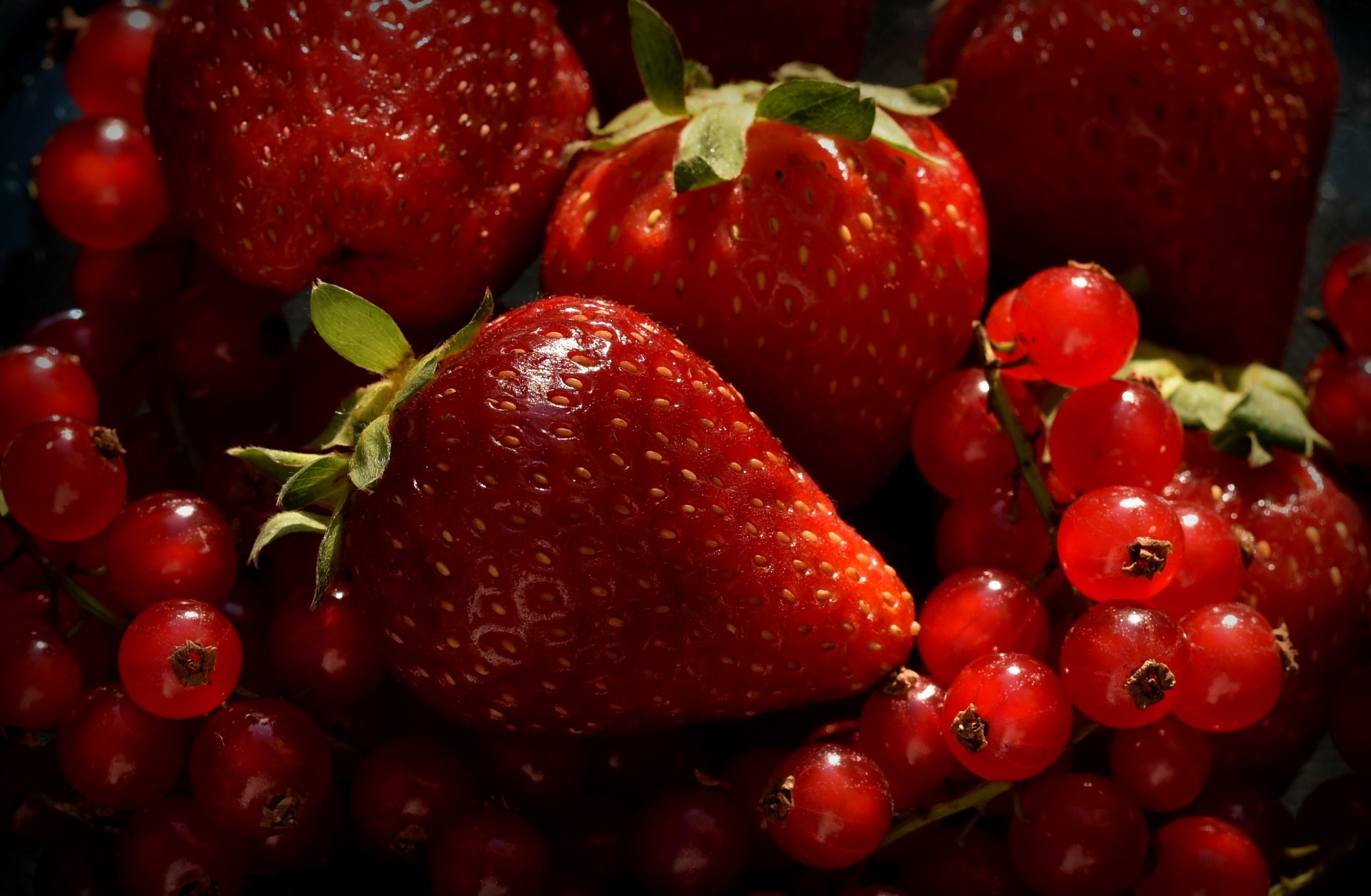 Fruit Food Red Strawberries Macro Red Berries Berries Dappled Sunlight Vibrant 1920x1255