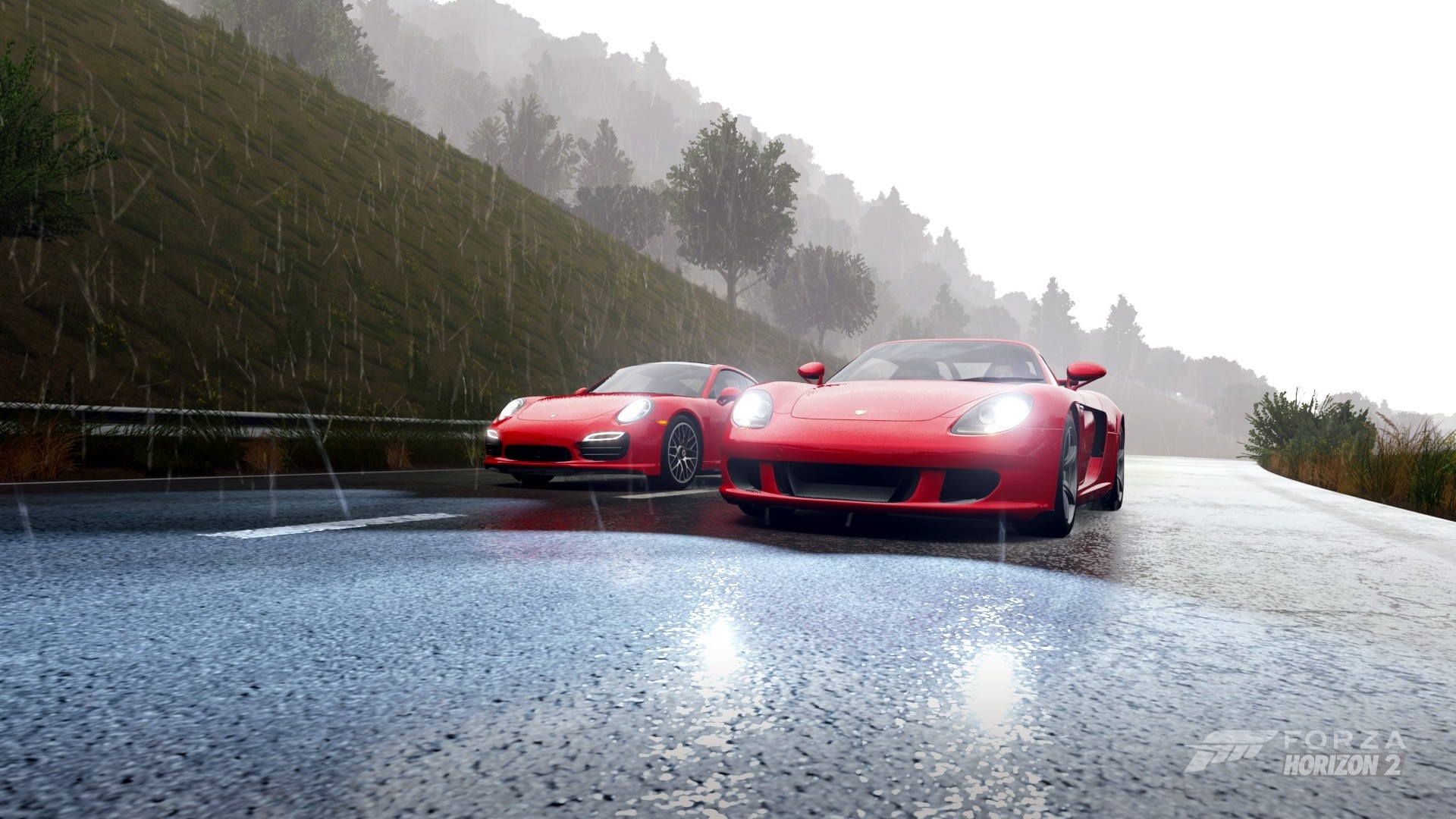Forza Horizon 2 Porsche Carrera GT Video Games 1920x1080