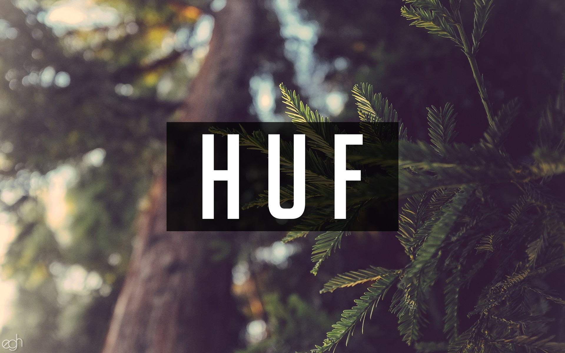 Huf Nature Writing Forest 1920x1200