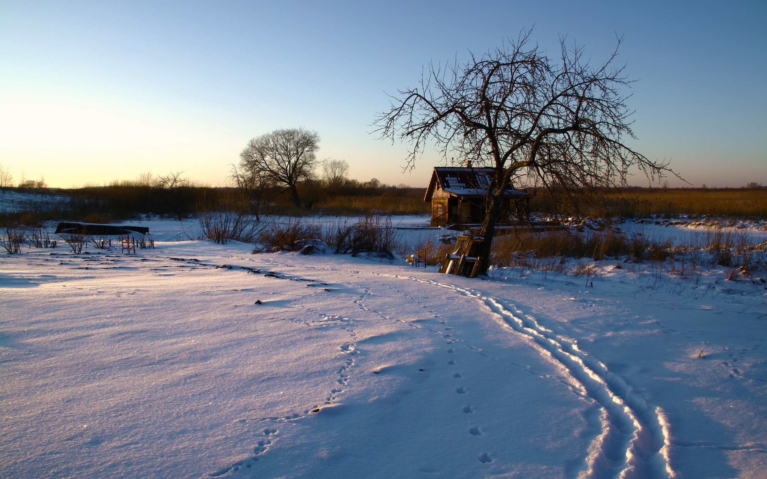 Snow Winter Cottage Landscape Reeds 2560x1600