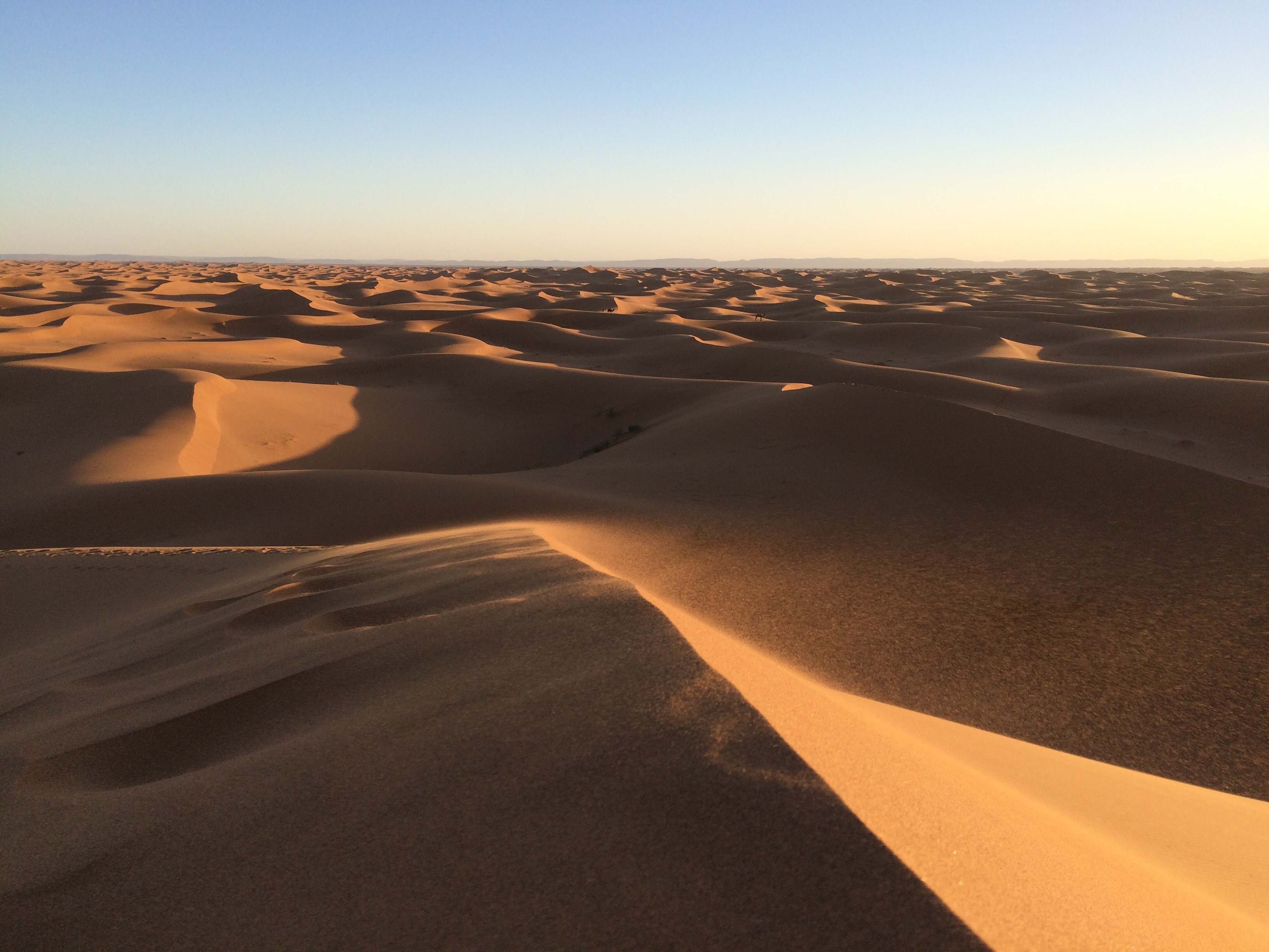 Landscape Nature Desert Sand Dunes Camels 3264x2448