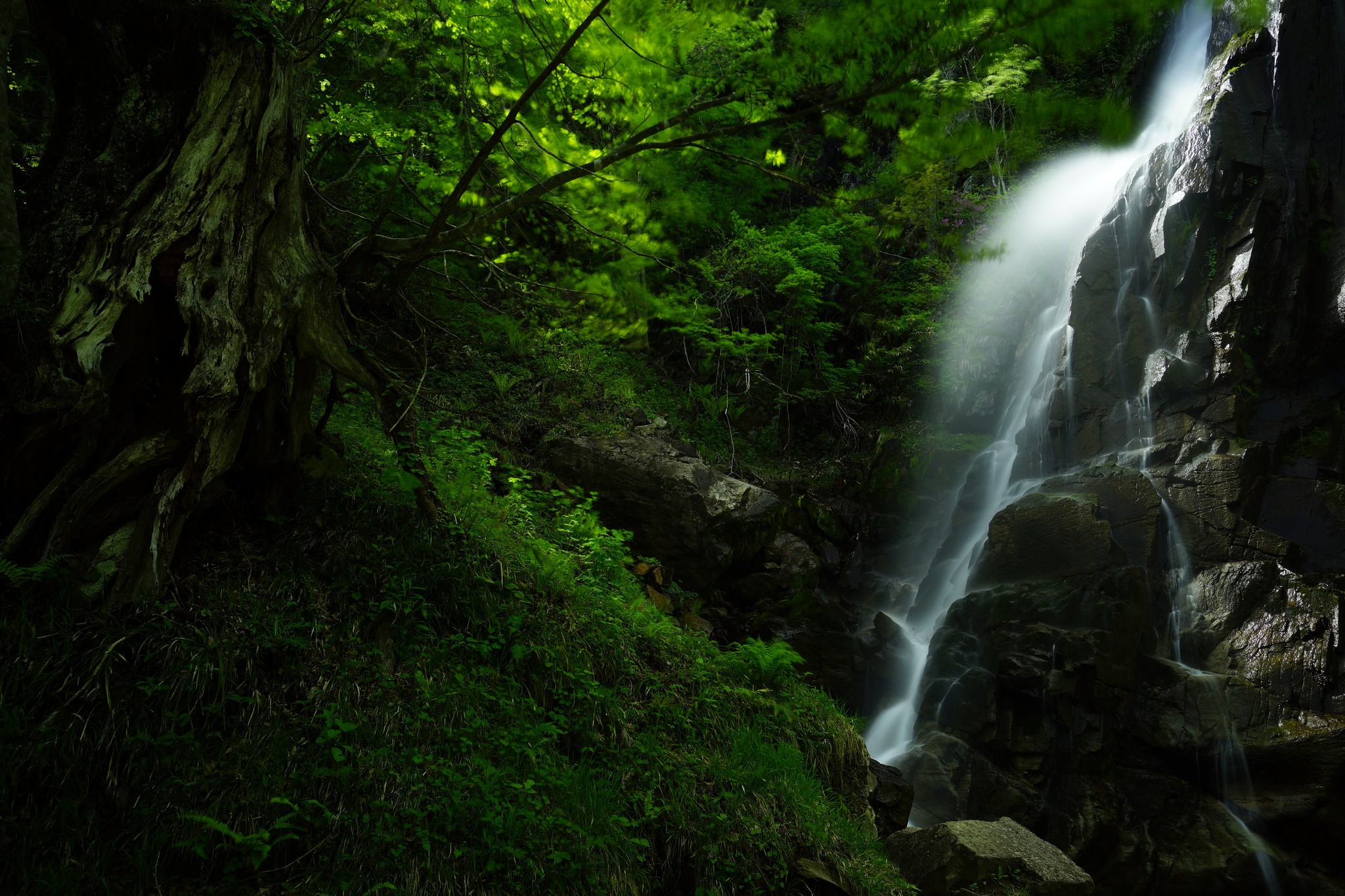 Landscape Waterfall Forest Green Rock Deep Forest 2048x1365