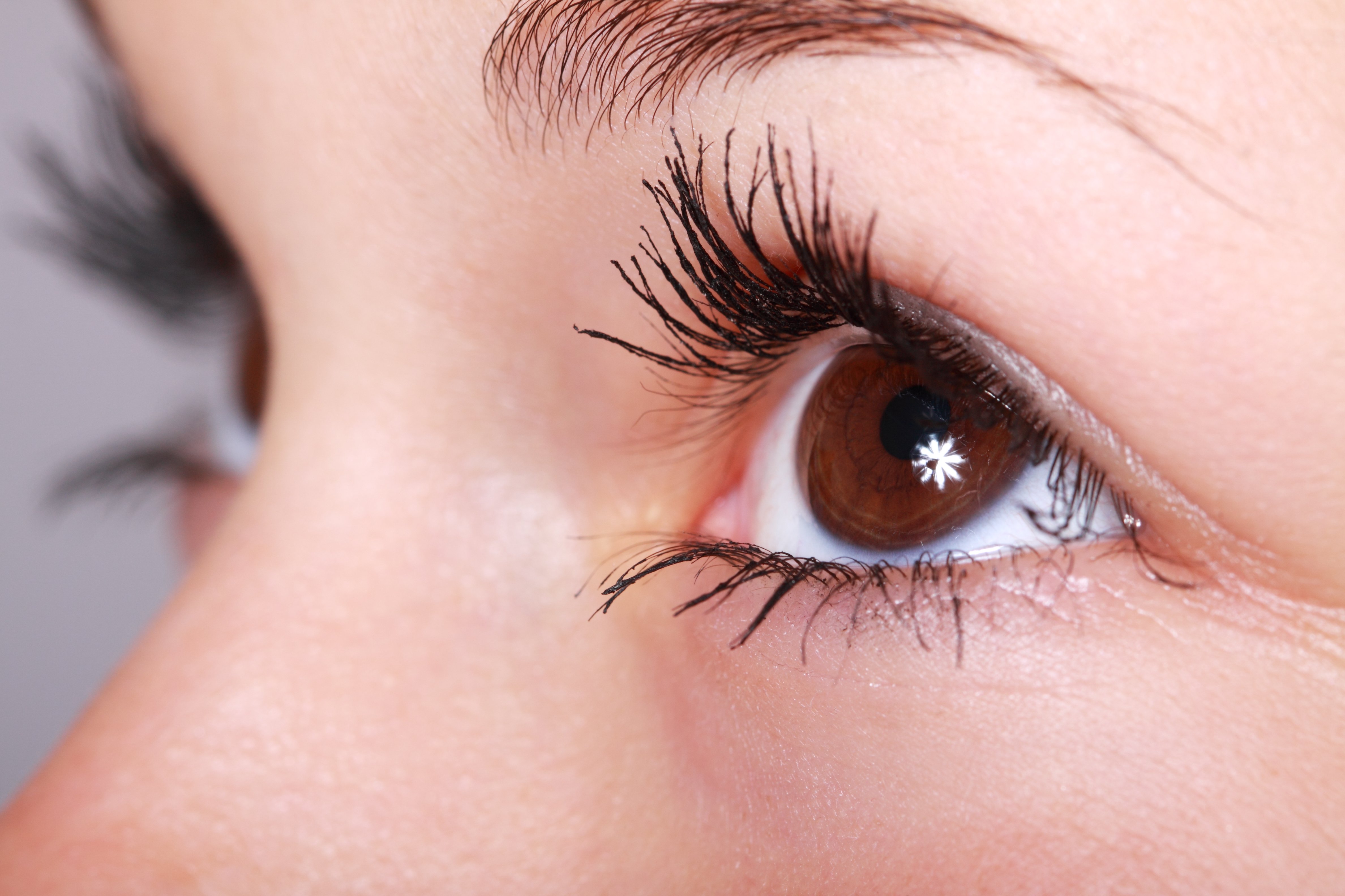 Closeup Eyelashes Eyebrows Sight Skin Women Makeup Wallpaper Resolution4752x3168 Id693932 