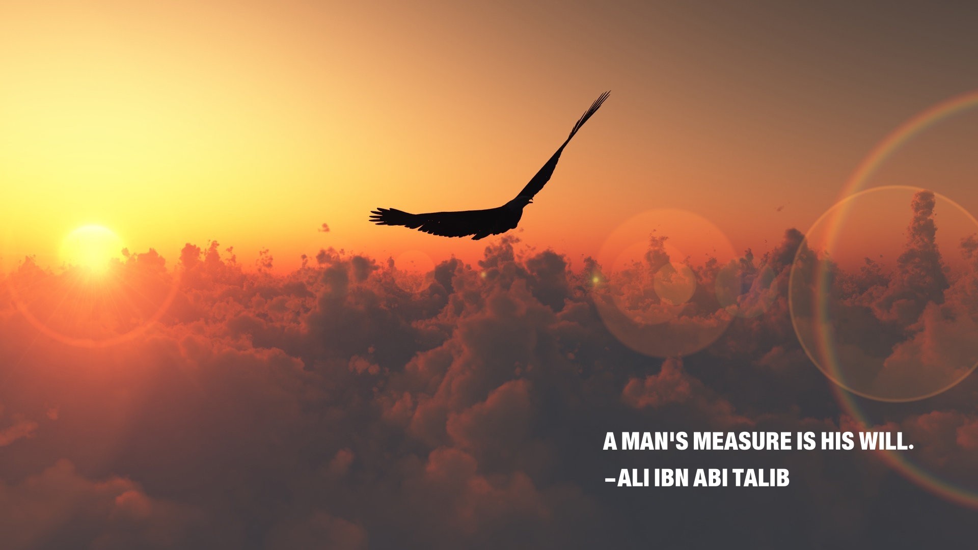 Ali Ibn Abi Talib Islam Imam Quote Eagle Nature Clouds Motivational Sunset 1920x1080