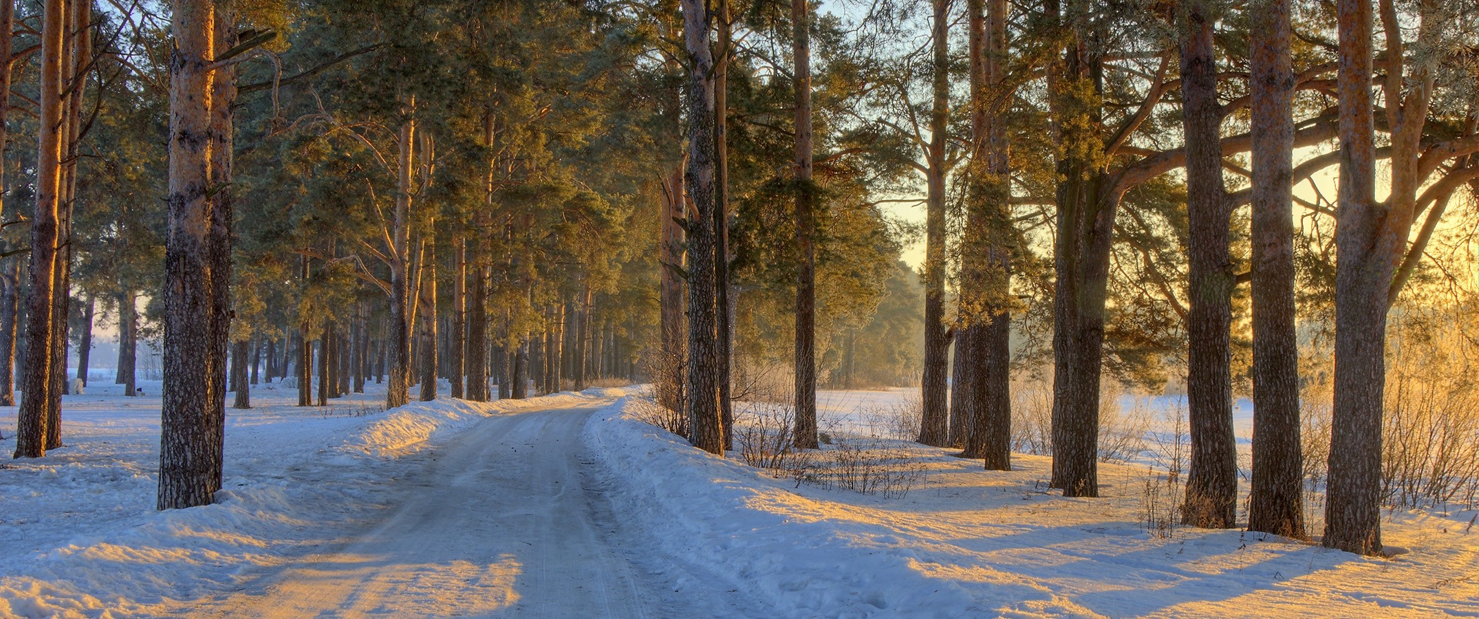 Nature Landscape Morning Sunlight Forest Road Winter Snow Panoramas Cold Trees Russia 2150x900