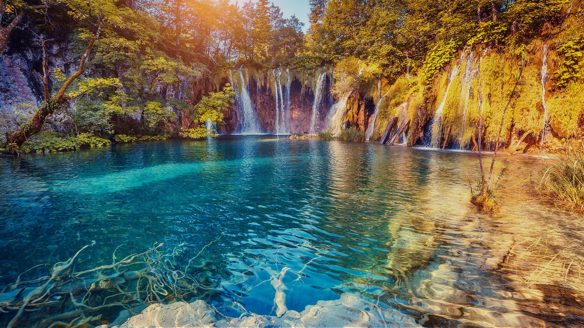 Nature Landscape Trees Water Waterfall Water Ripples Forest Clear Water Plants Plitvice Lakes Nation 1920x1080