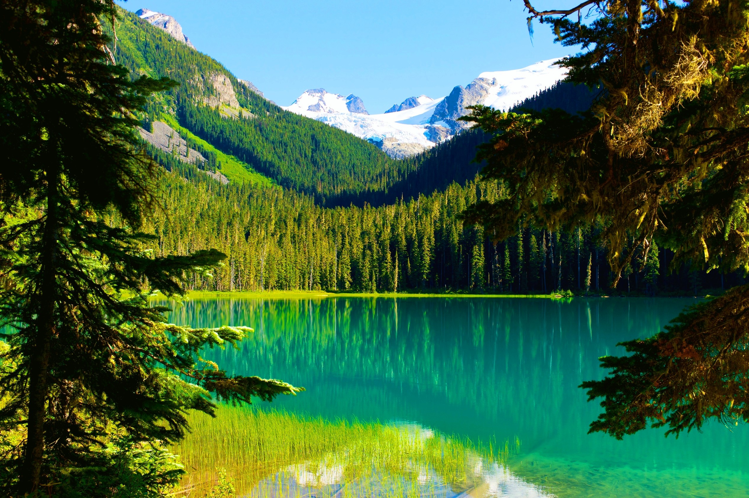 Nature Landscape Trees Lake Mountains Forest Summer Water Snowy Peak British Columbia Canada Reflect 2532x1685