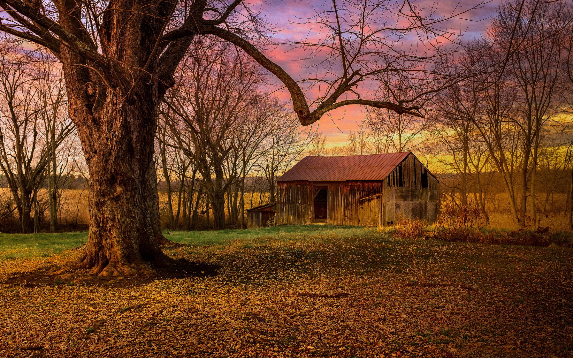 Barn Tree Field Sunset 1920x1200