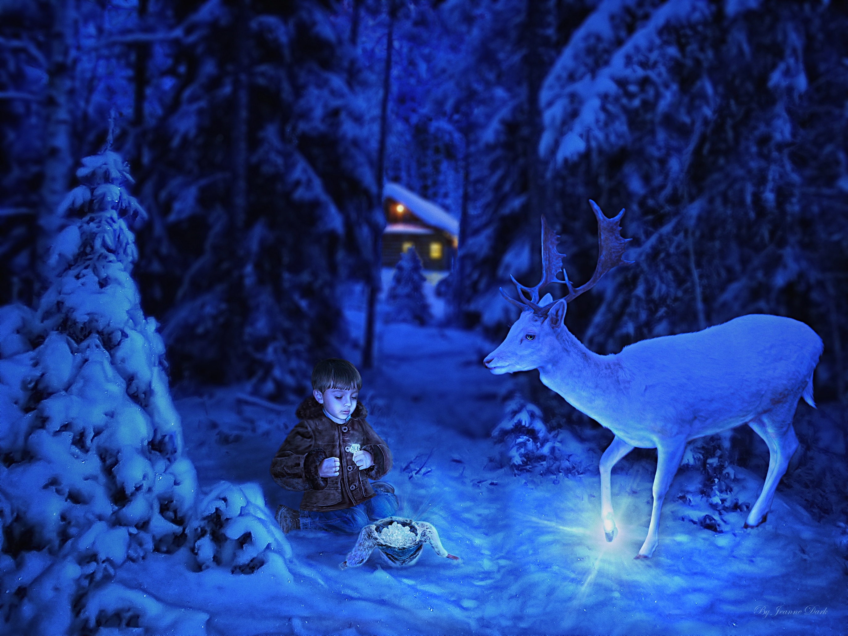 Fantasy Christmas Reindeer Little Boy Magic Night 2750x2063