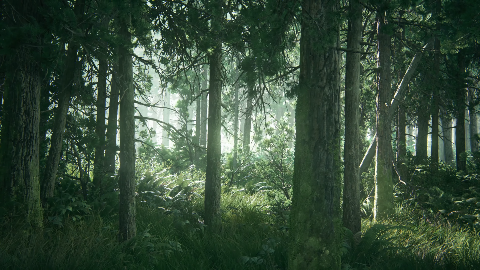 The Last Of Us 2 Screen Shot Forest Computer Game 1920x1080
