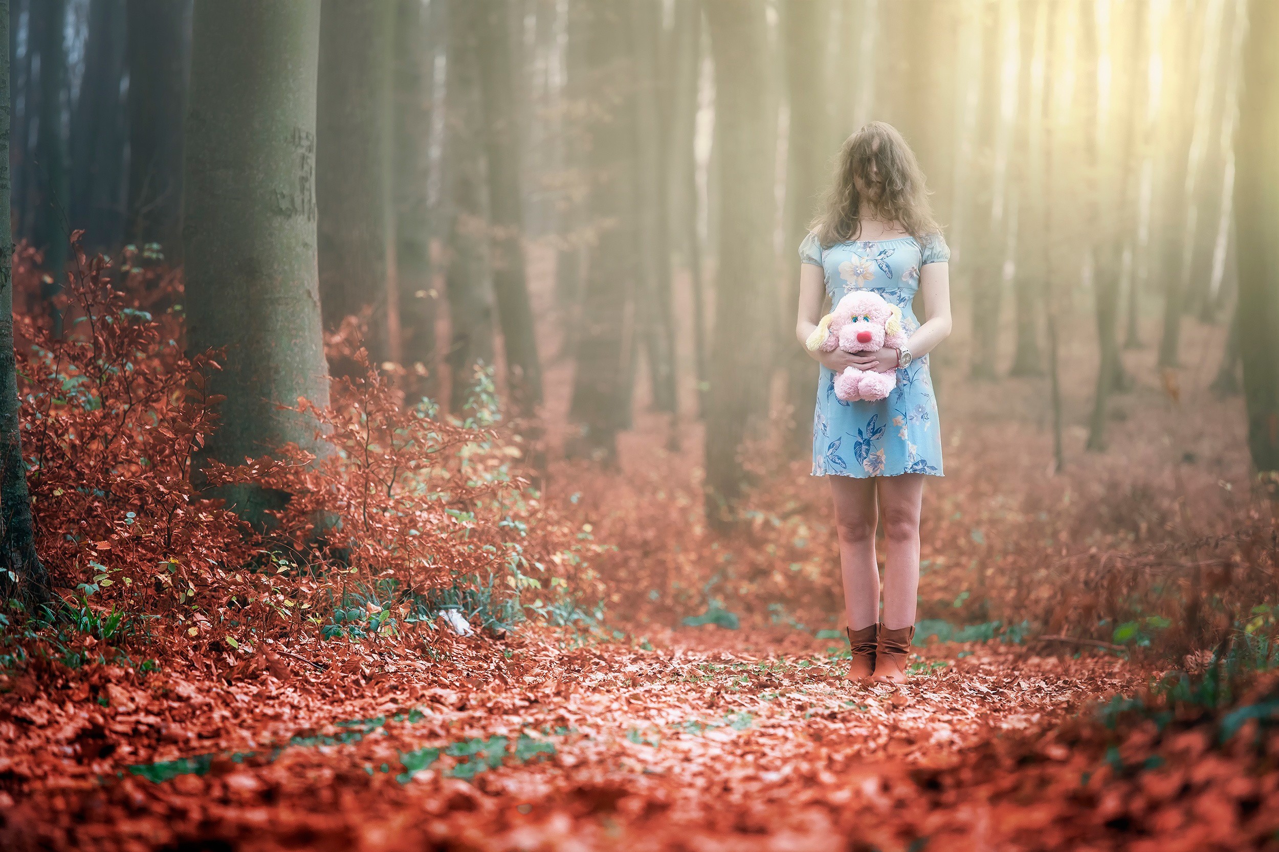 Women Fall Forest Stuffed Animal Blue Dress Women Outdoors Hair In Face Leaves Forest Clearing Model 2500x1666