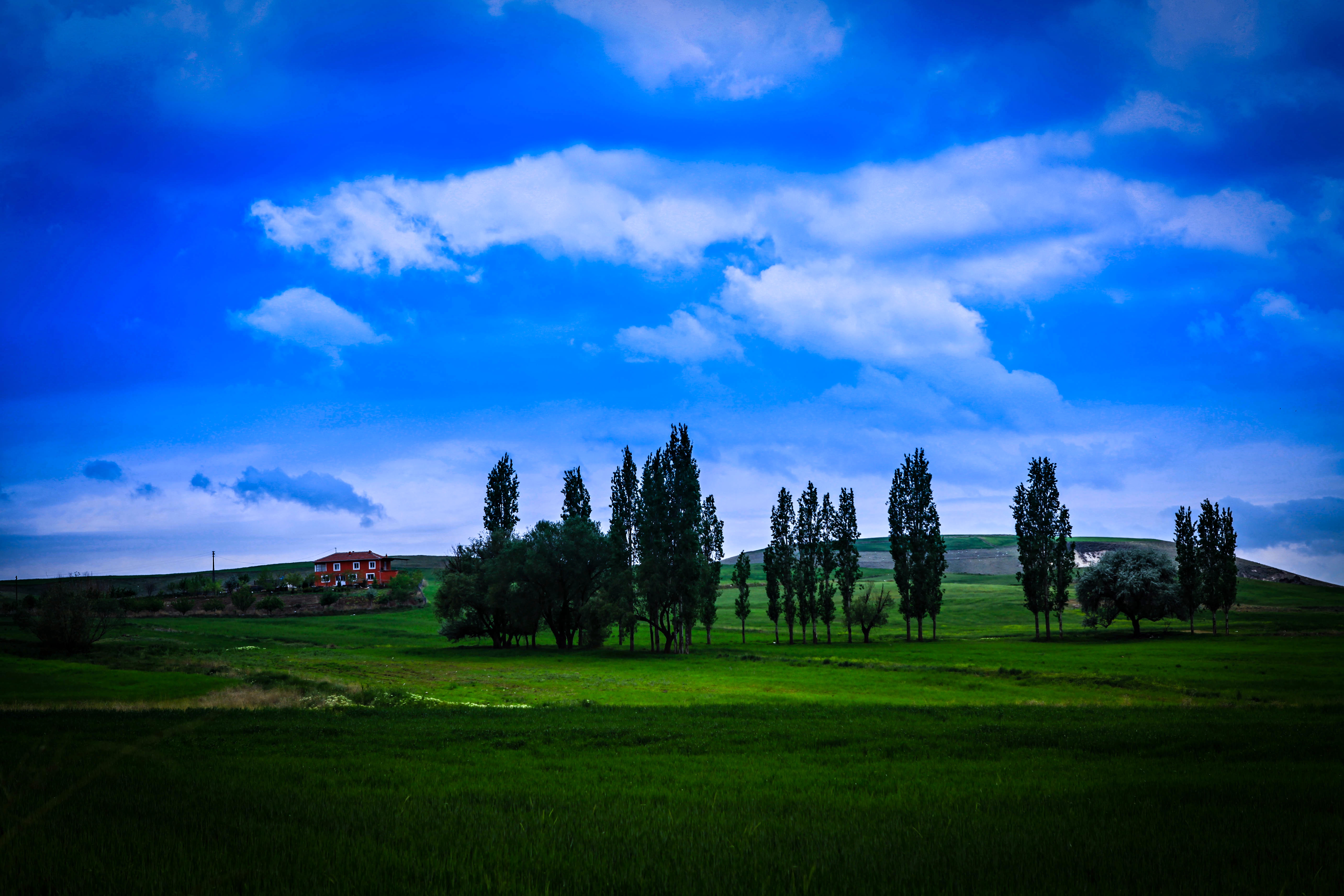 Landscape Nature Countryside Tree Field 5616x3744