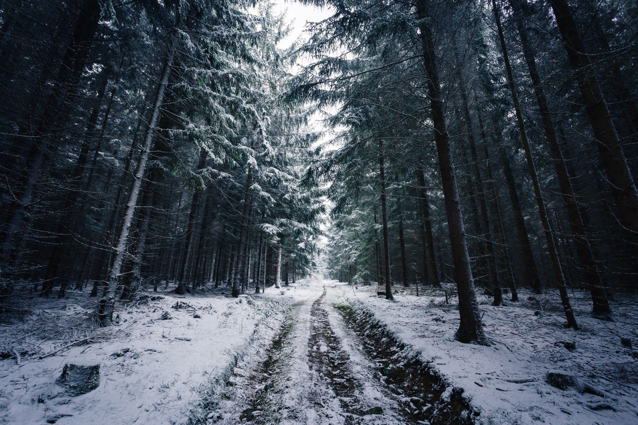 Johannes Hulsch Forest Winter Snow Trees Road Norway 2048x1365