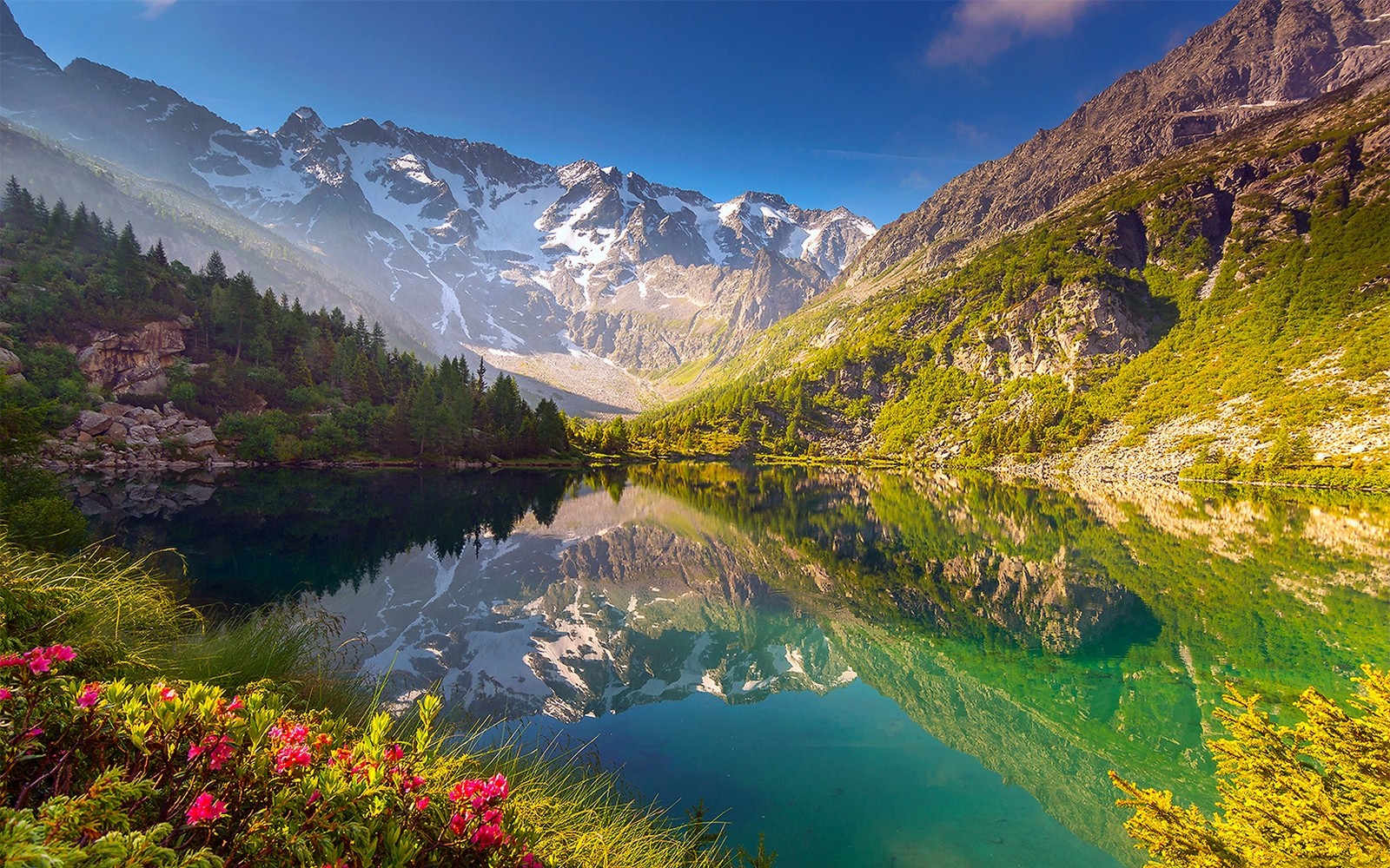 Nature Landscape Lake Wildflowers Mountains Reflection Forest Water Snowy Peak 1600x1000