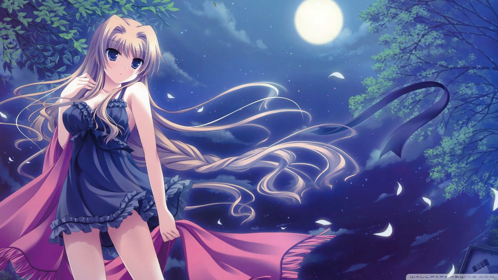 Download Anime Girls Pfp Nightgown Wallpaper