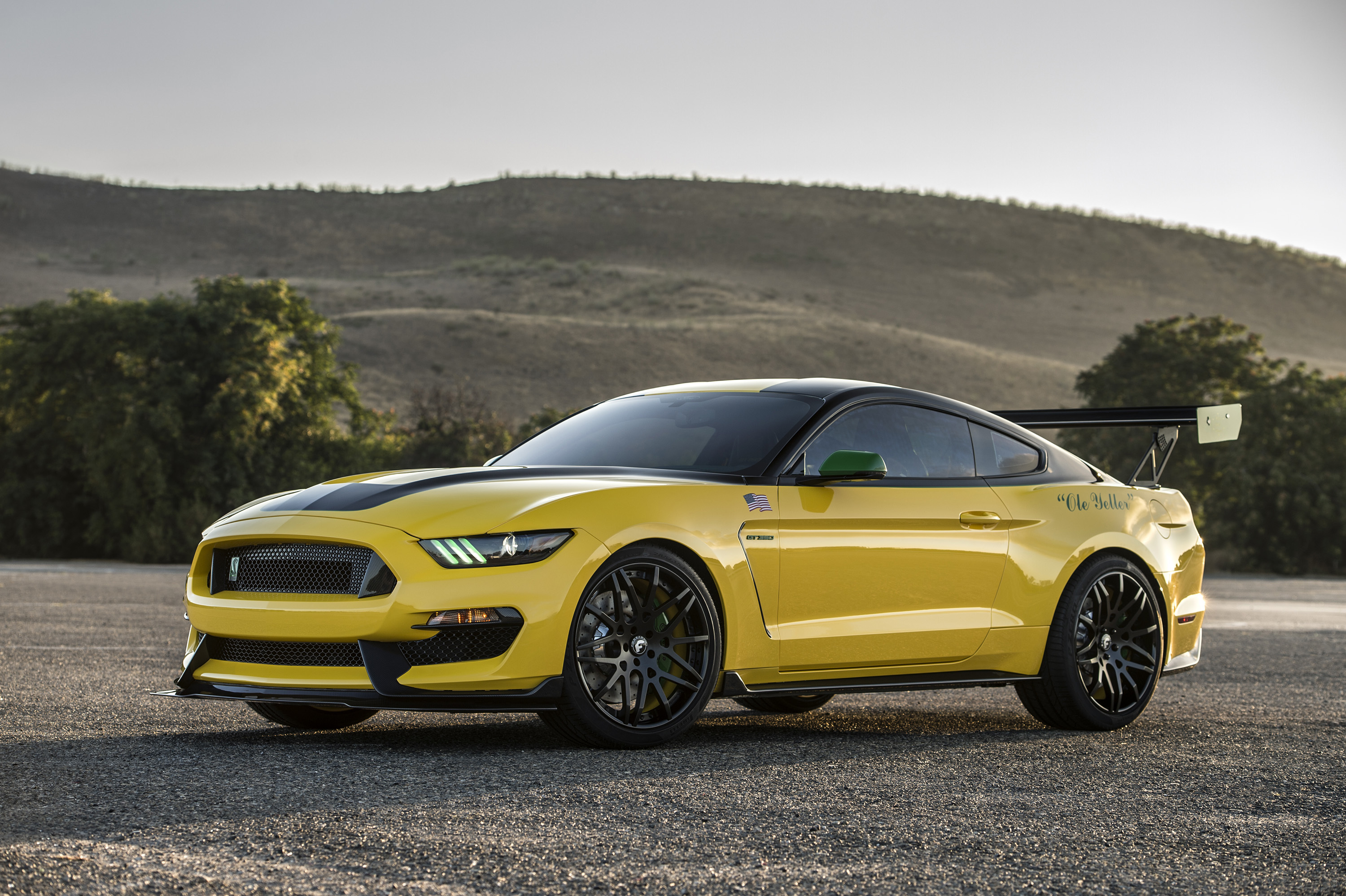 Ford Mustang Shelby Ford Mustang Ford Yellow Car Car Vehicle Muscle Car 3000x1997