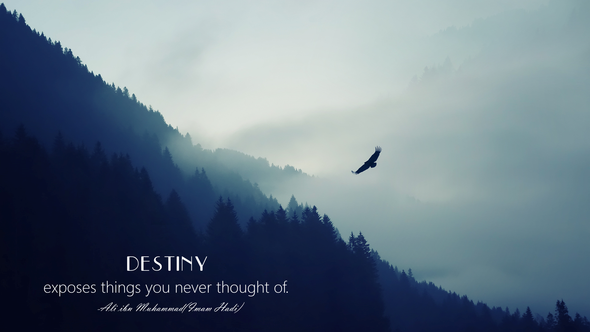 Imam Islam Quote Eagle Forest Clouds Mist 1920x1080