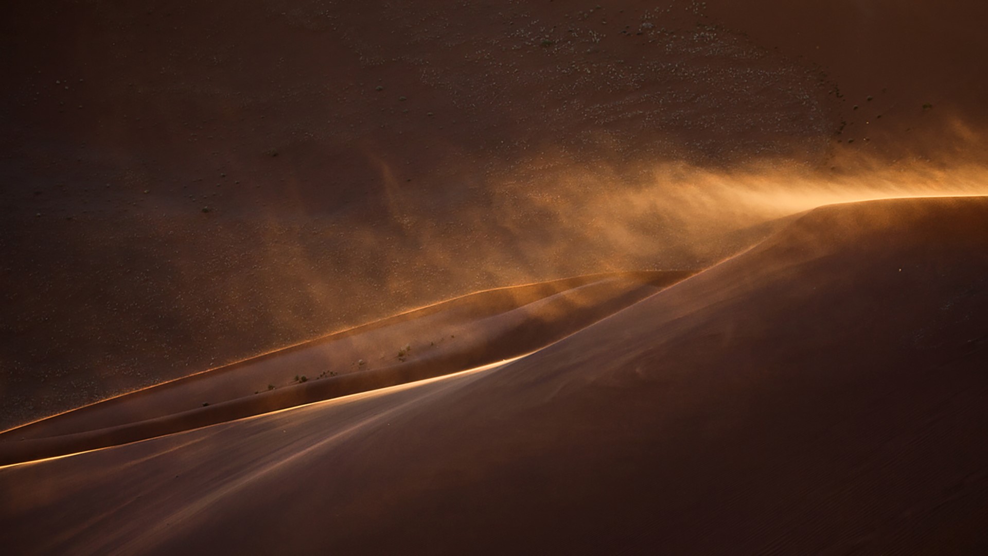 Nature Landscape Sand Dunes Desert Plants Wind Sunset Sunlight Namibia 1920x1080