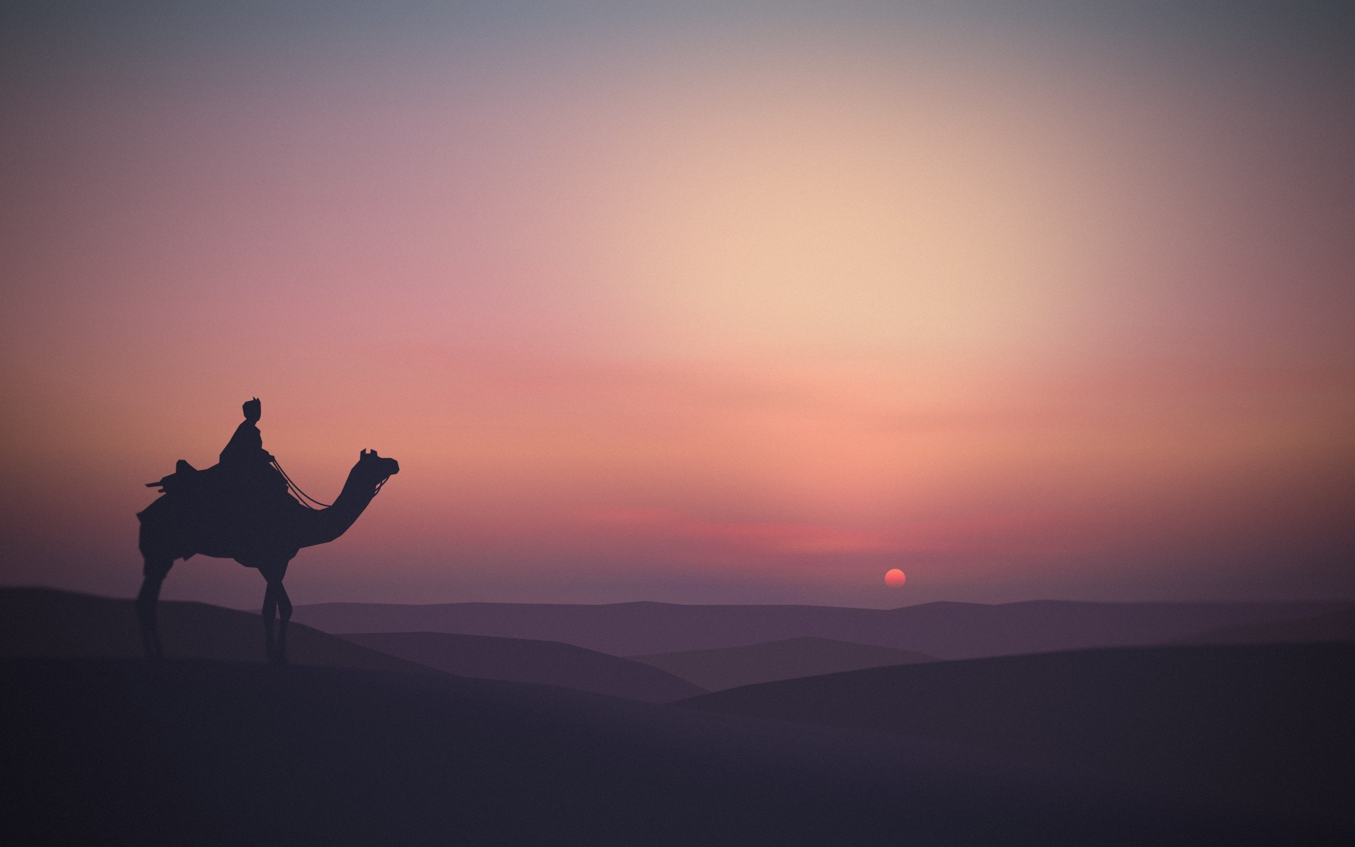 Animals Landscape Silhouette Sun Horizon Camels 1920x1200
