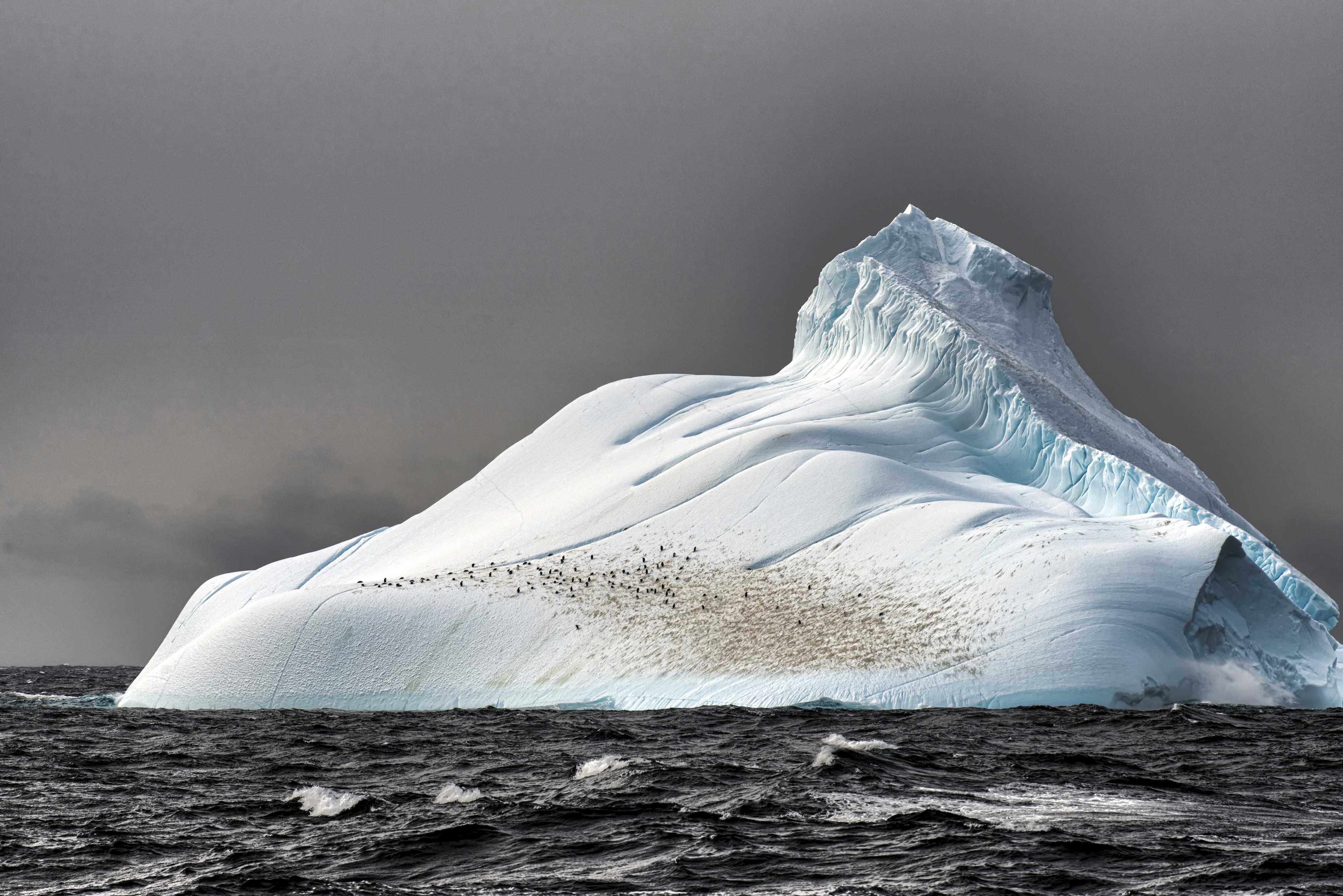 Iceberg Sea Nature Penguins Antarctica 3613x2411