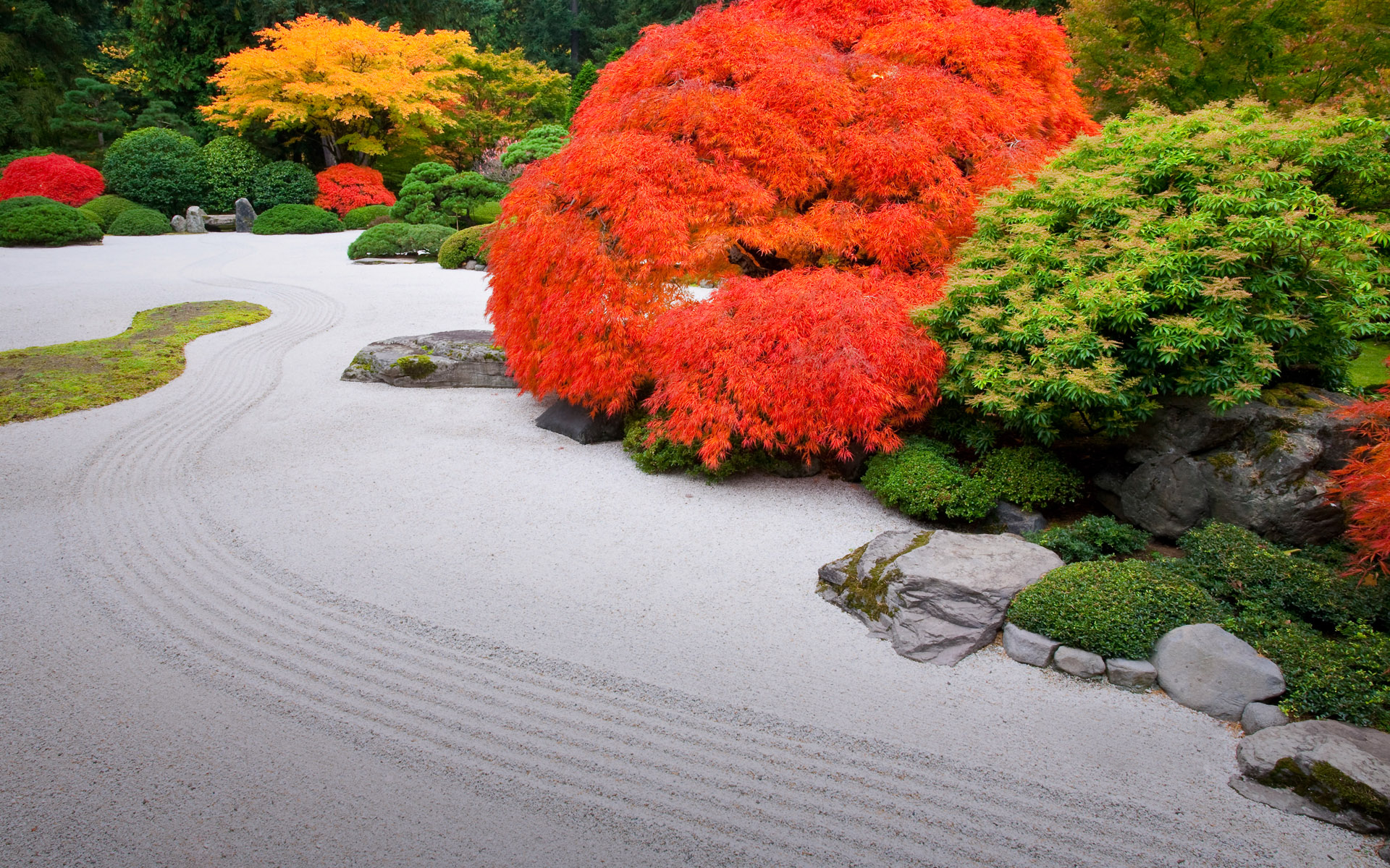 Japanese Garden Tree Colors Bush 1920x1200