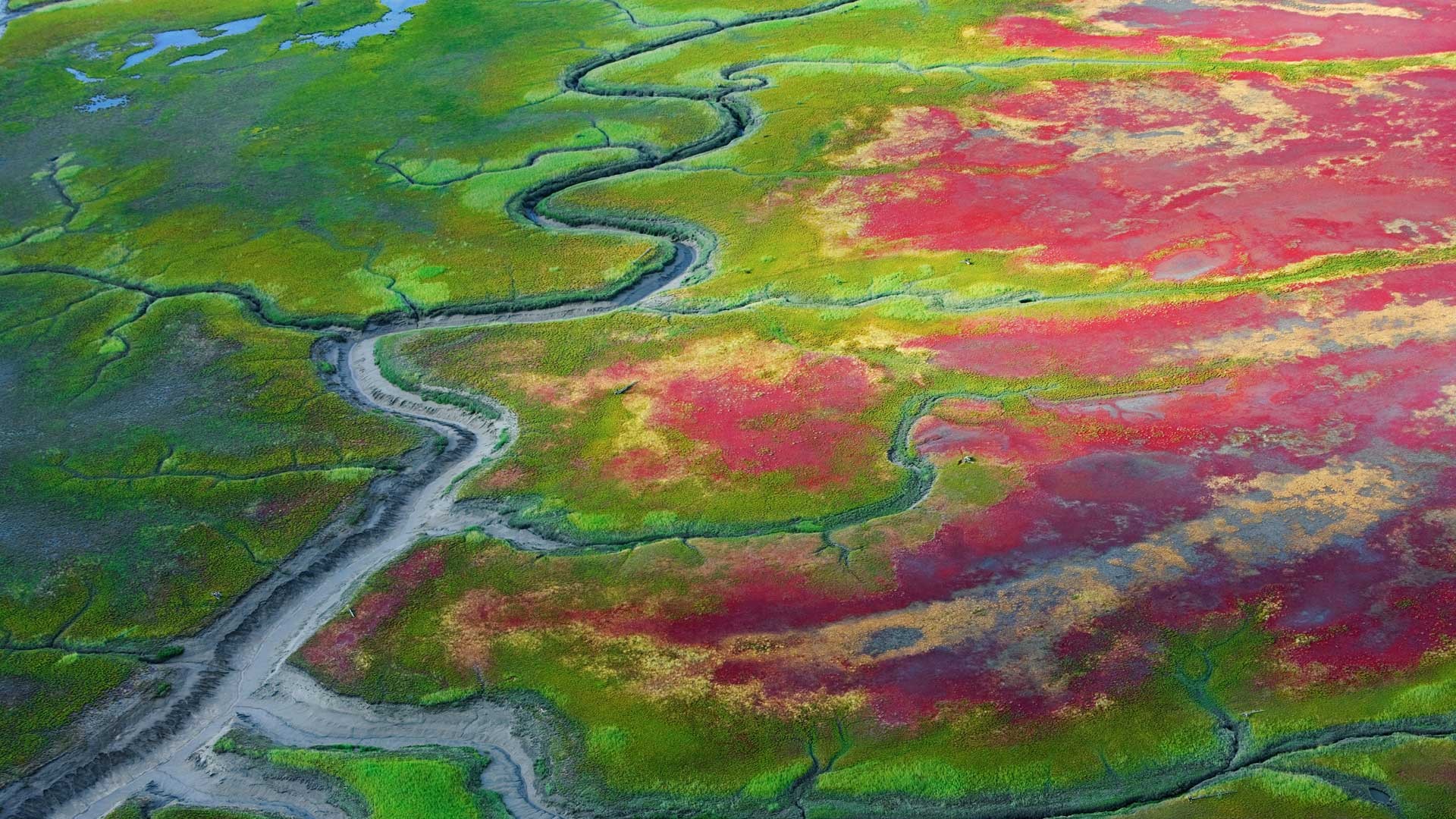 Landscape River Aerial View National Park Alaska Plains 1920x1080