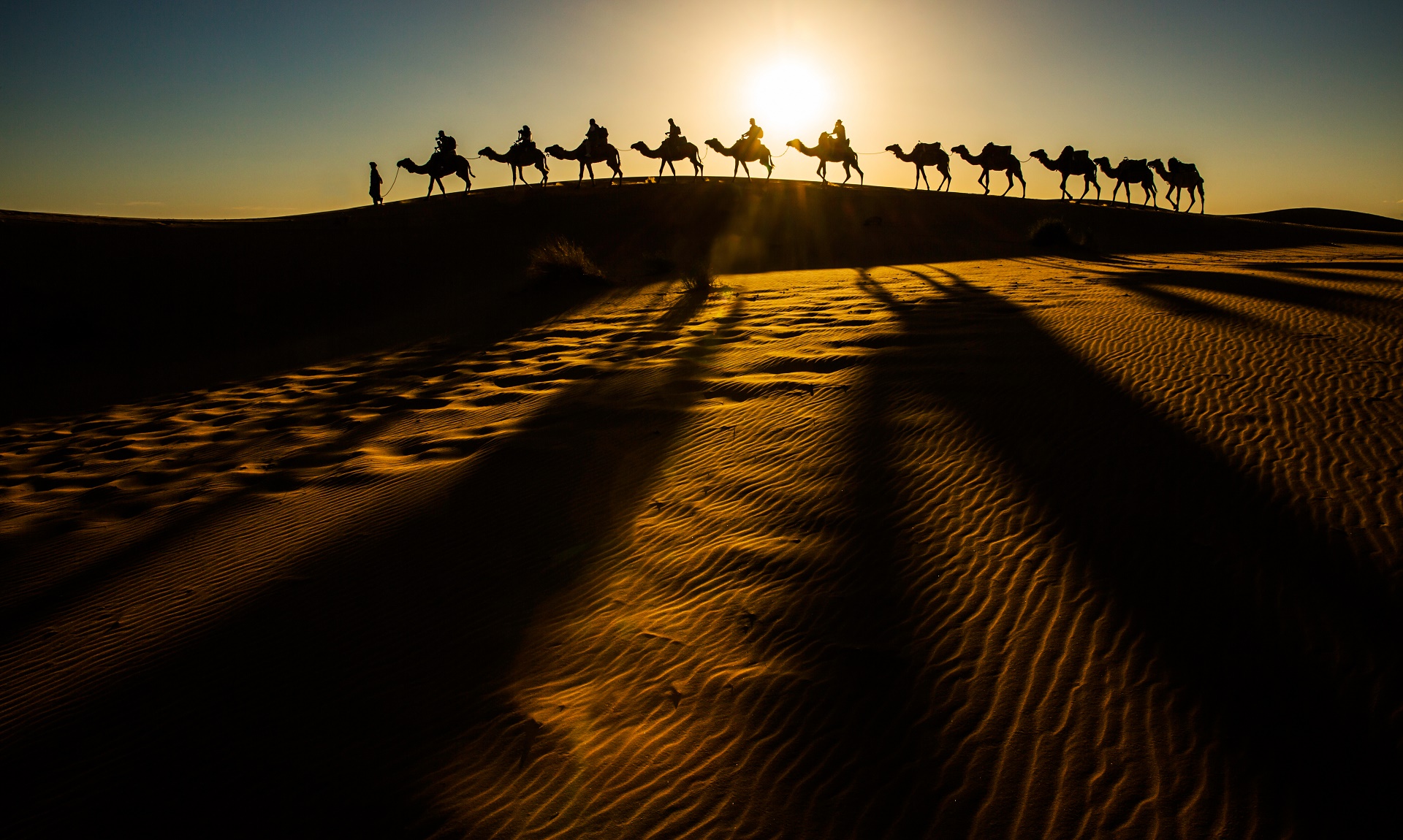 Camel Desert 1920x1150