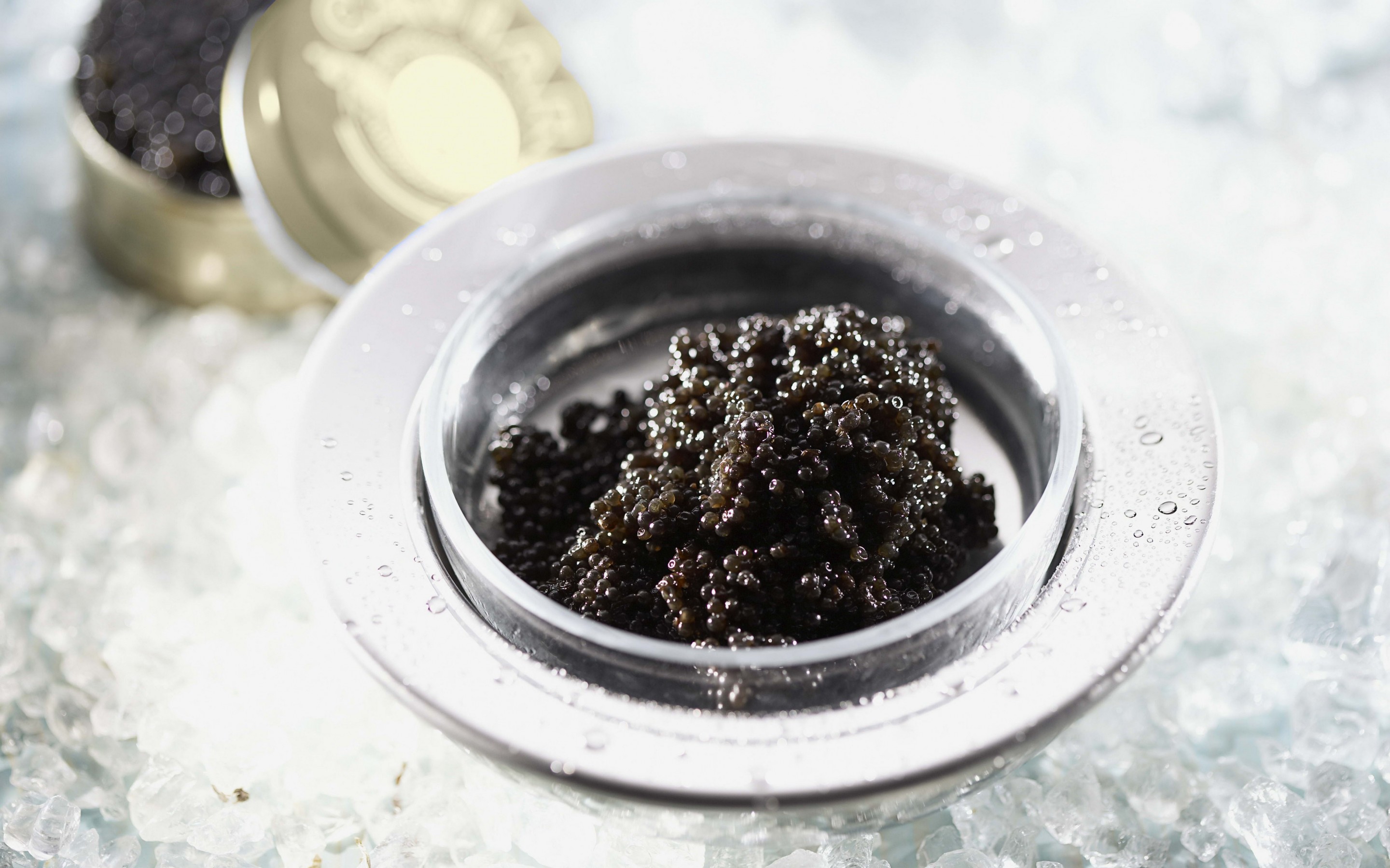 Food Caviar 2880x1800