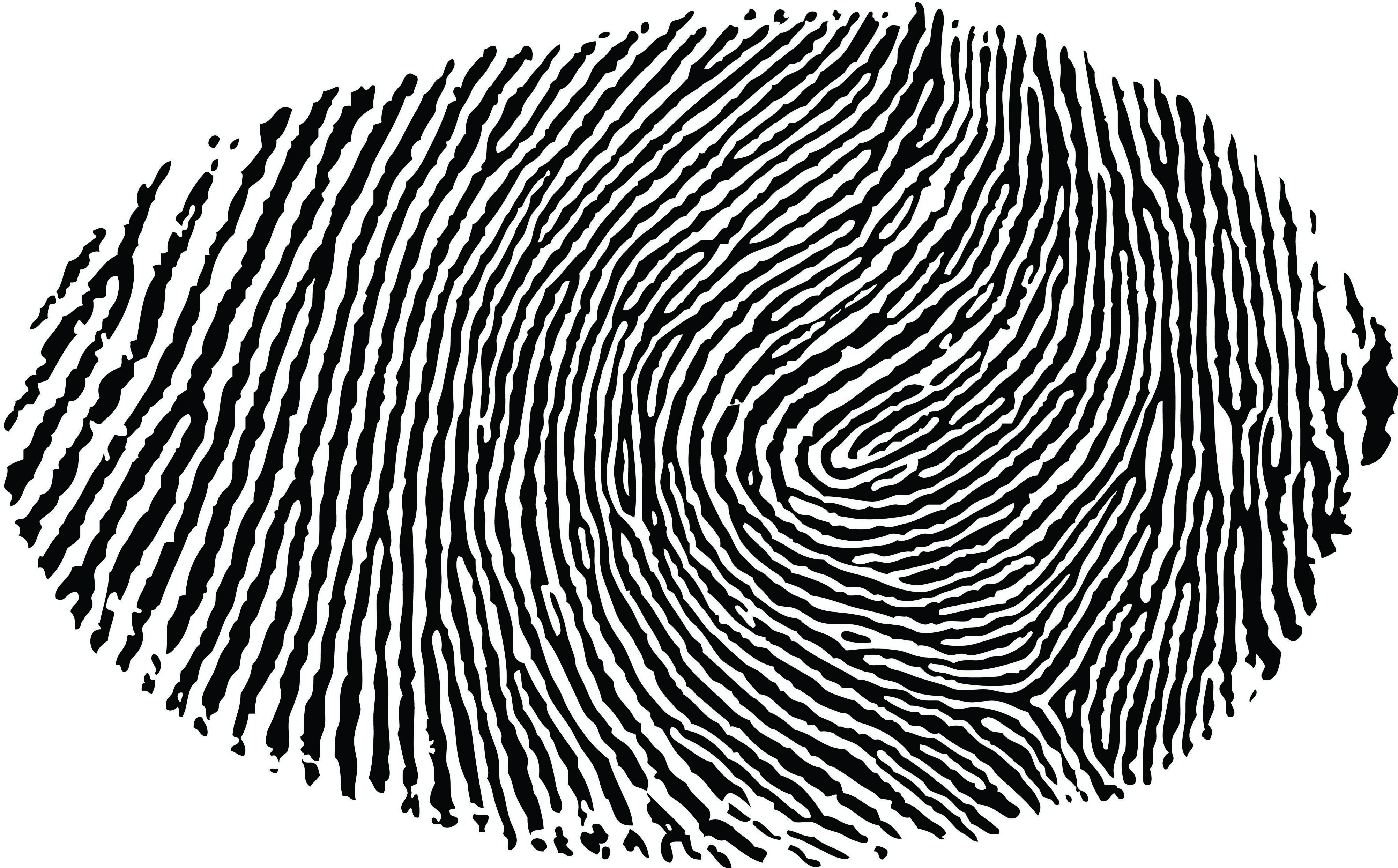 Minimalism White Background Fingerprints Black White Abstract Monochrome 4006x2487