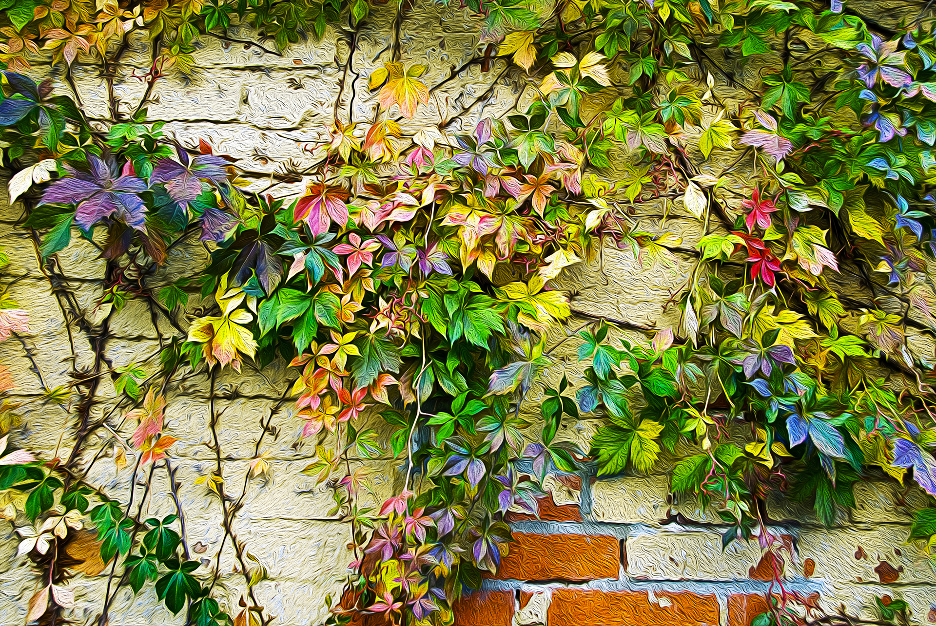 Artistic Vine Leaf Colors Colorful 1920x1285