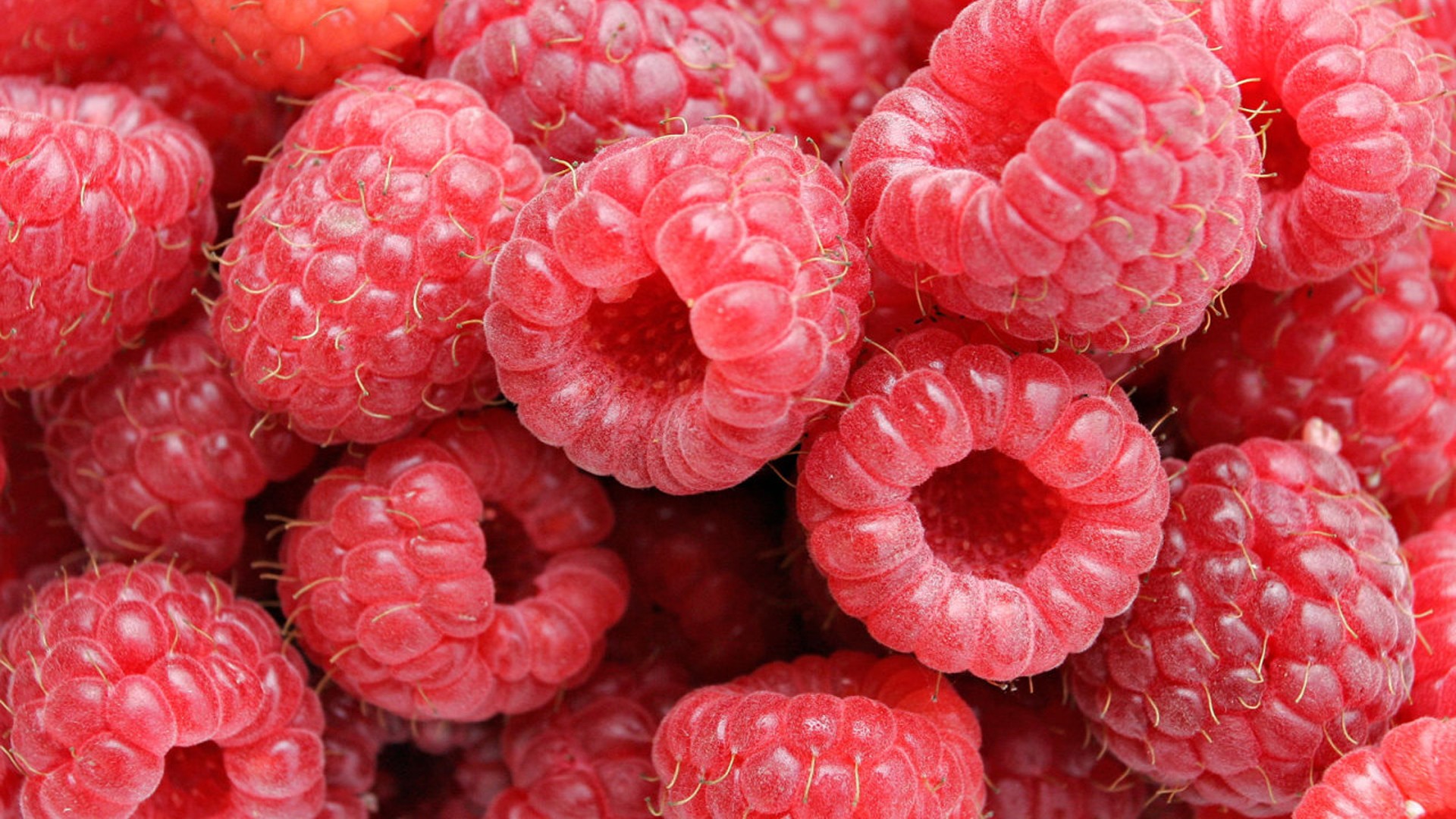 Food Raspberries Fruit Berries 1920x1080
