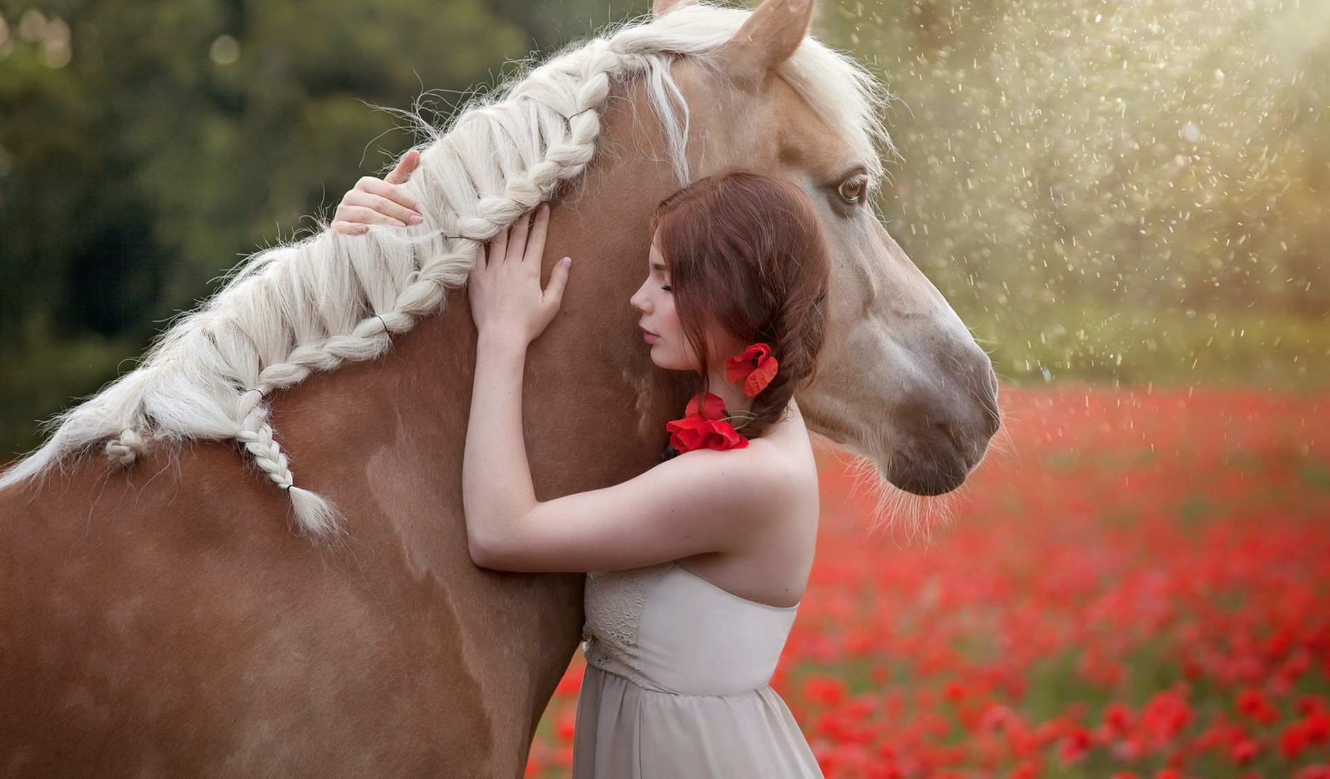 Horse Women Animals Red Flowers Field Closed Eyes Women With Horse 1920x1125