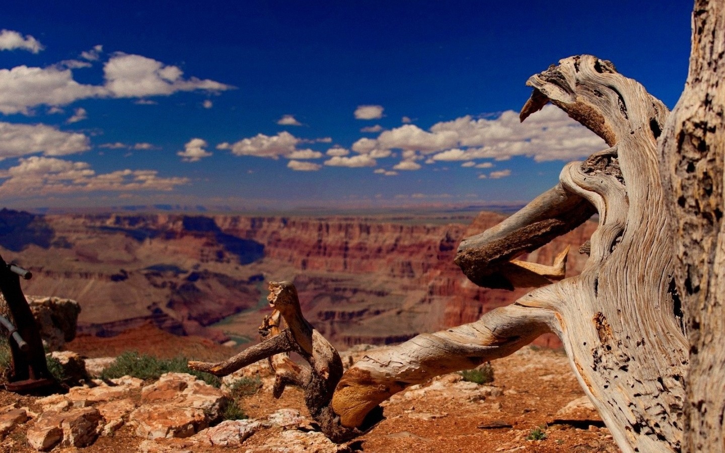 Grand Canyon 1440x900