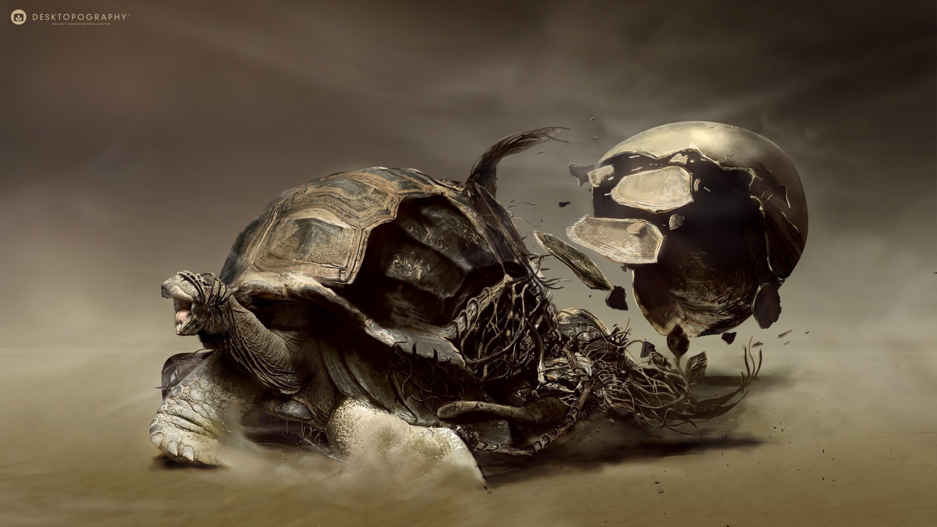 Digital Art Artwork Desktopography Animals Turtle Sand Roots 1920x1080