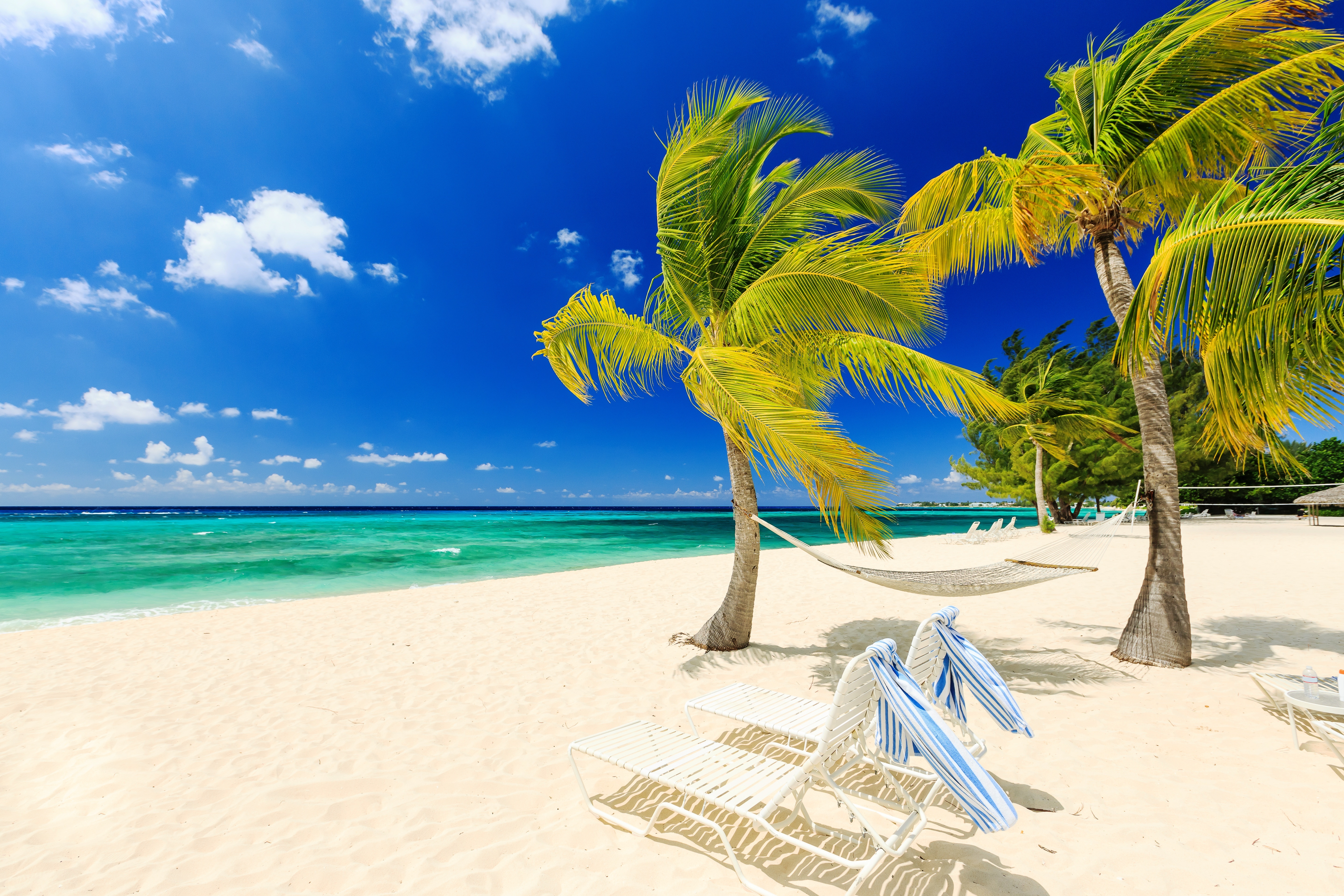 Earth Beach Tropical Ocean Sea Turquoise Palm Tree Wind Hammock Chair Horizon 5760x3840