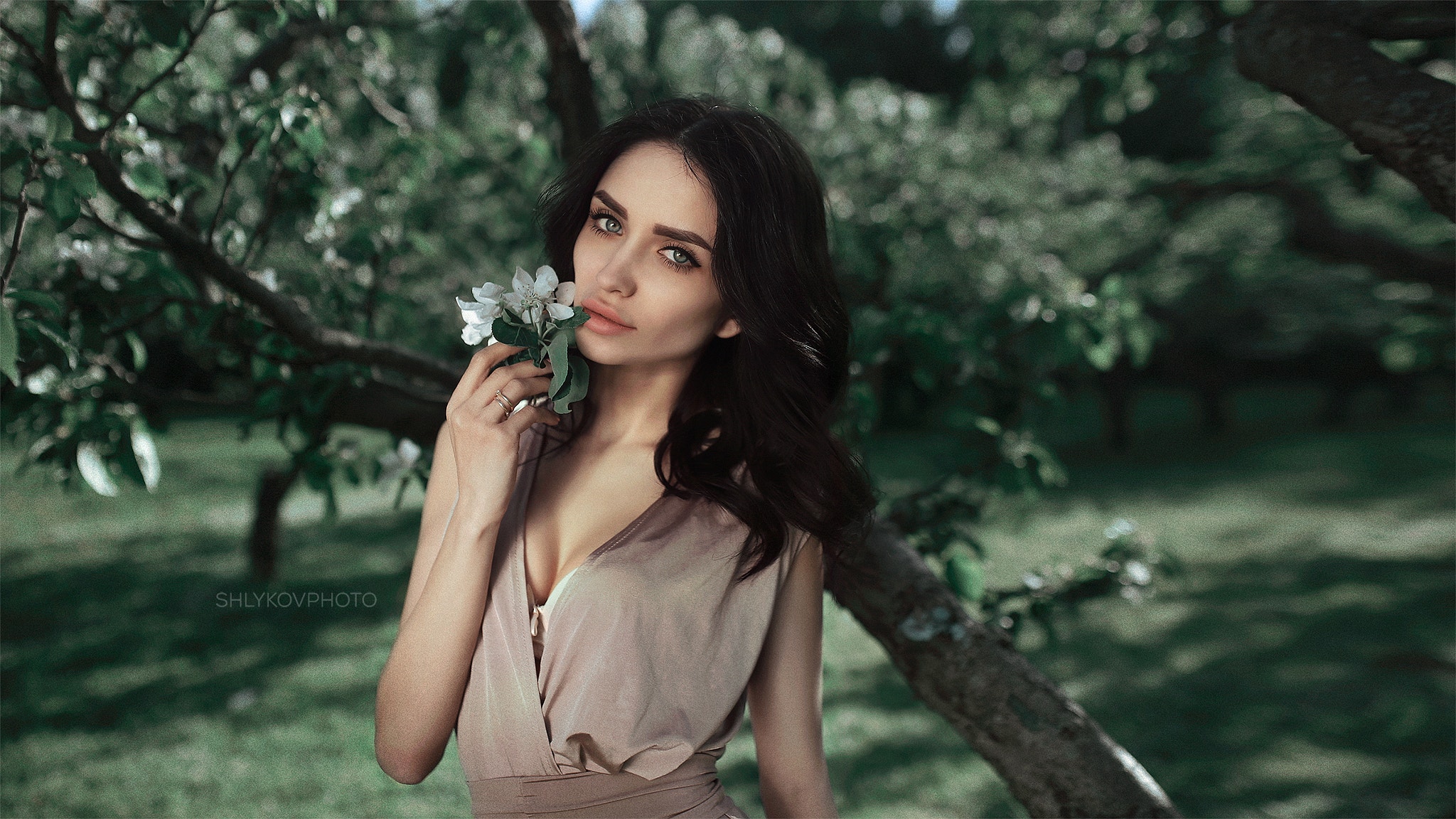 Women Brunette Women Outdoors Face Blue Eyes Portrait Wide Jaw Depth Of Field Flowers 2048x1152