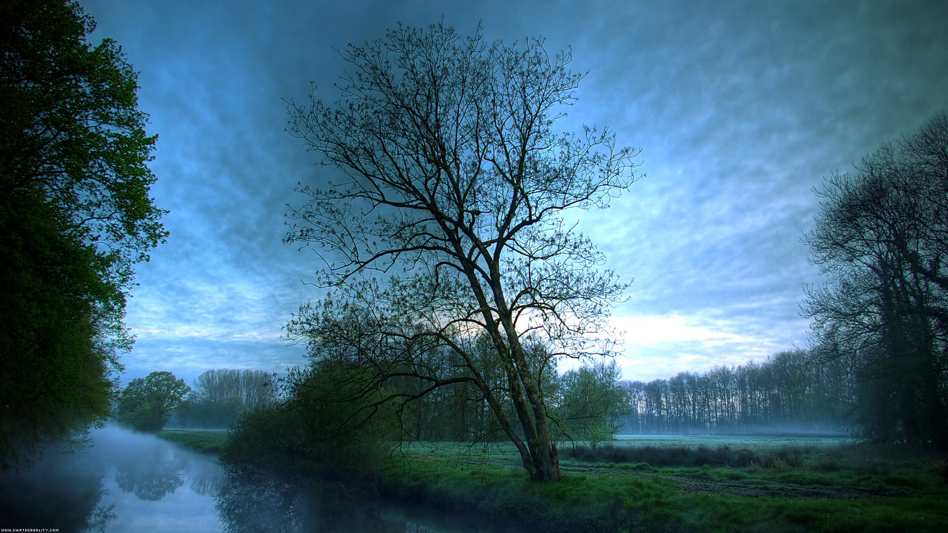 Photography Landscape Stream Fog Sky Cloud Sunrise Field Lonely Tree Grass Green 1920x1080