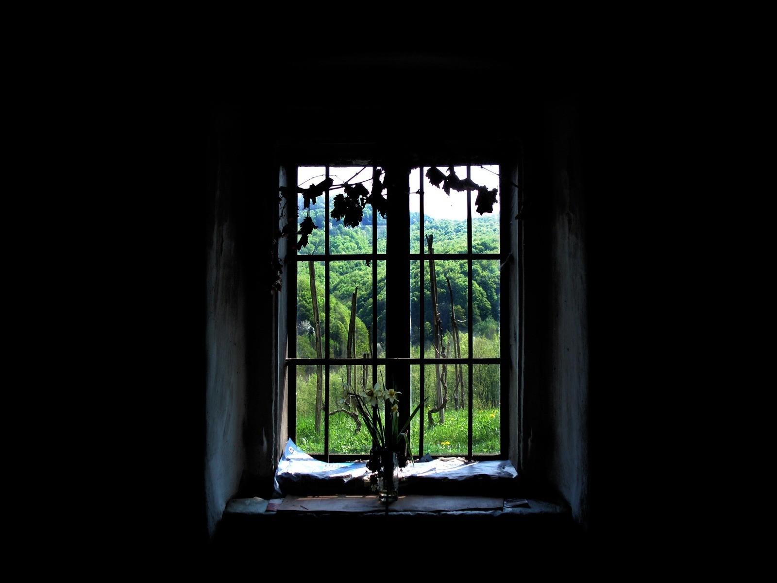 Man Made Window 1600x1200