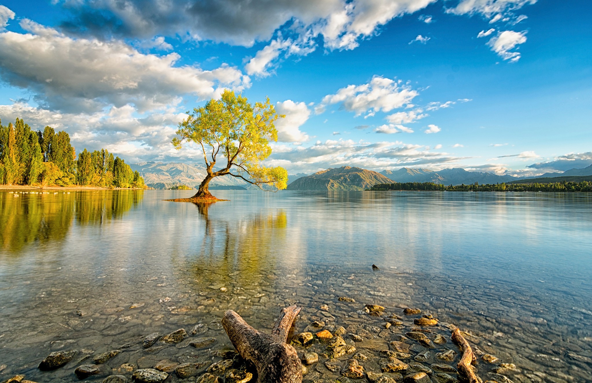 New Zealand Nature Lake Trees Reflection Lake Wanaka 2048x1326