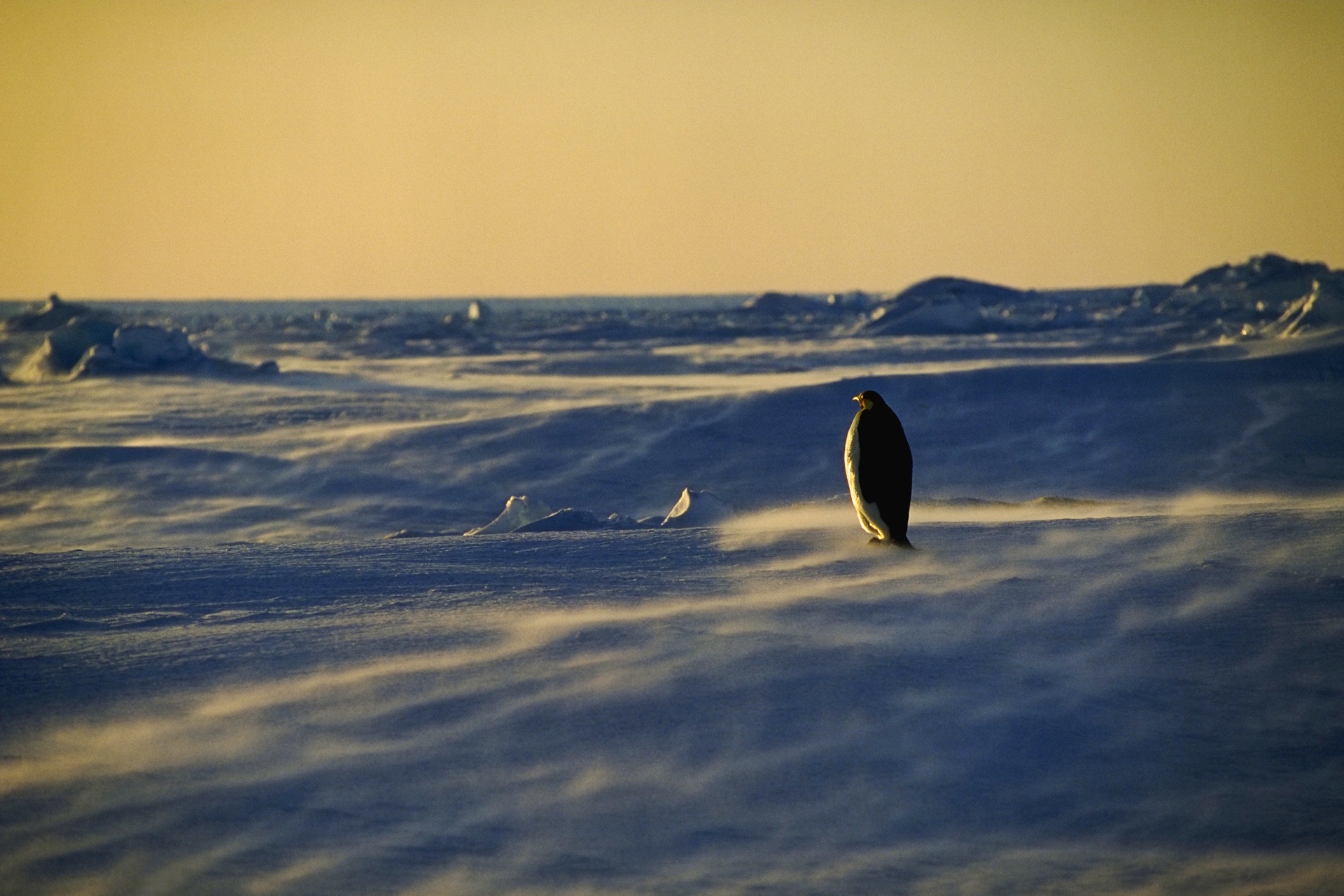 Snow Antarctica 1920x1280