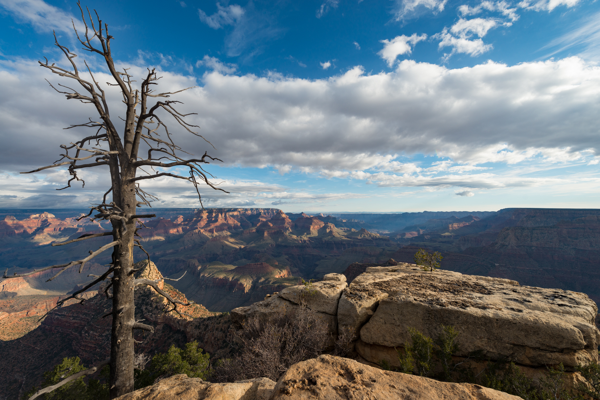 Landscape Rock Sky Trees Clouds Nature Canyon Grand Canyon 1920x1281