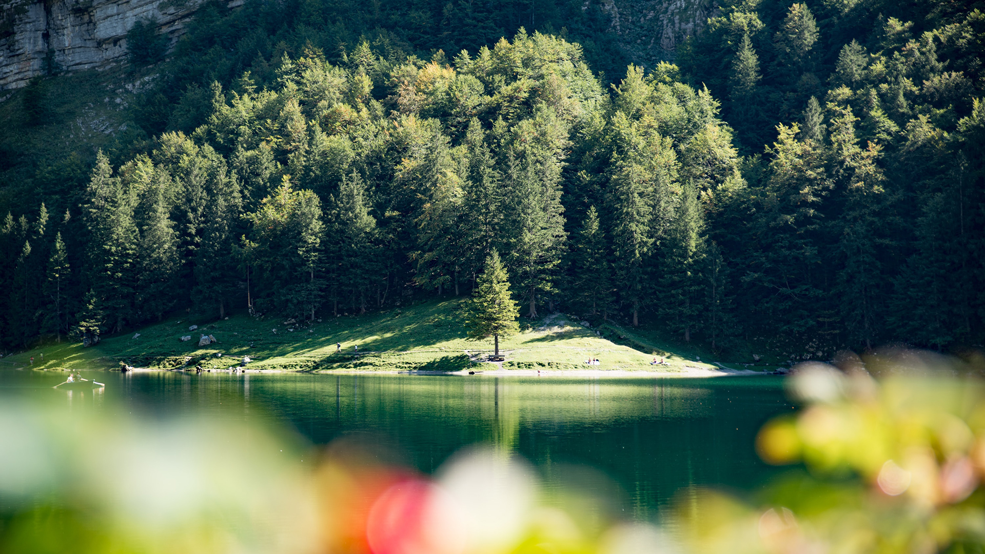 Water Trees Nature People Rowing 1920x1080