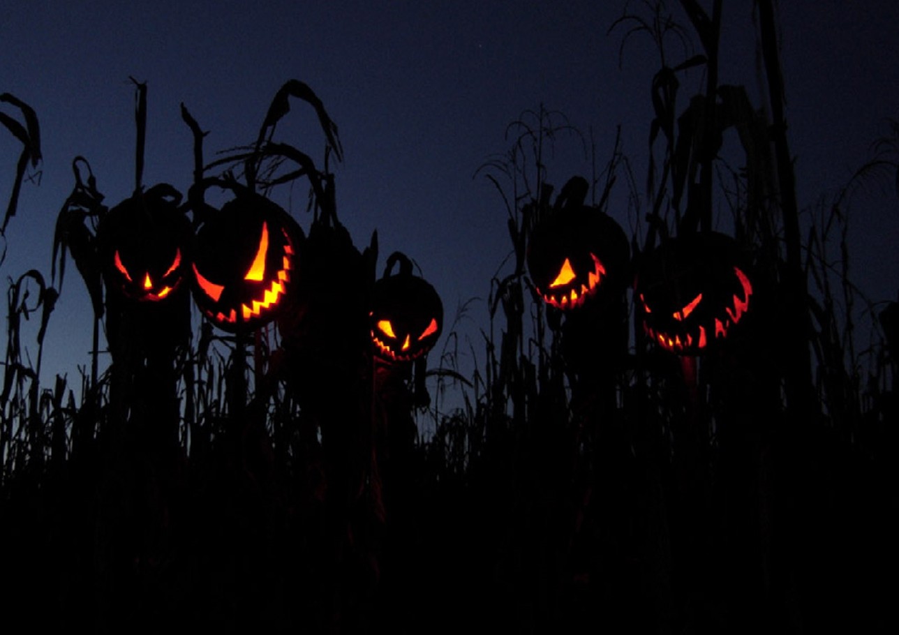 Halloween Spooky Dark Jack O Lantern Night Horror 1288x910