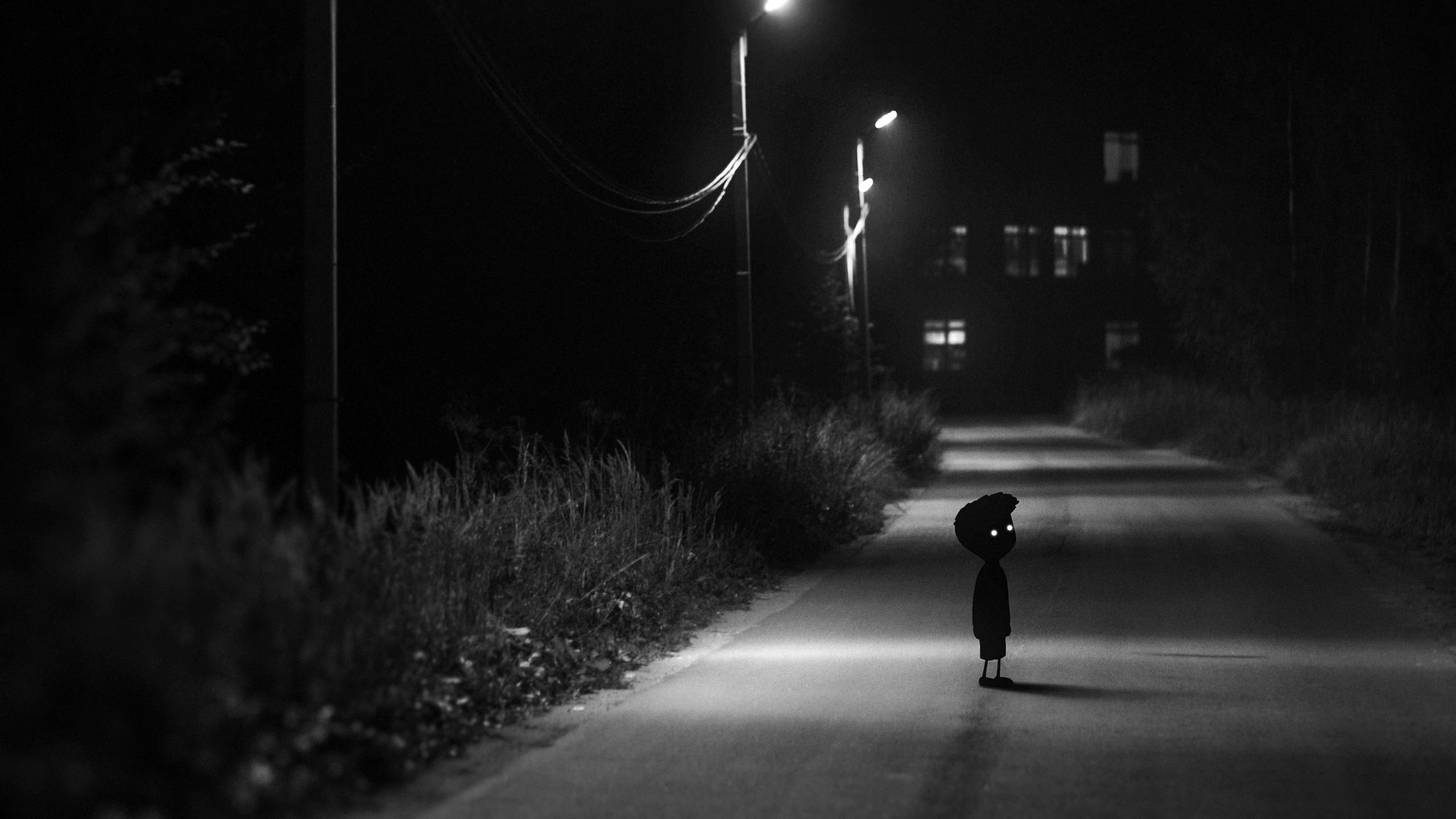 Limbo Video Games Monochrome Dark Night Road Alone 2560x1440