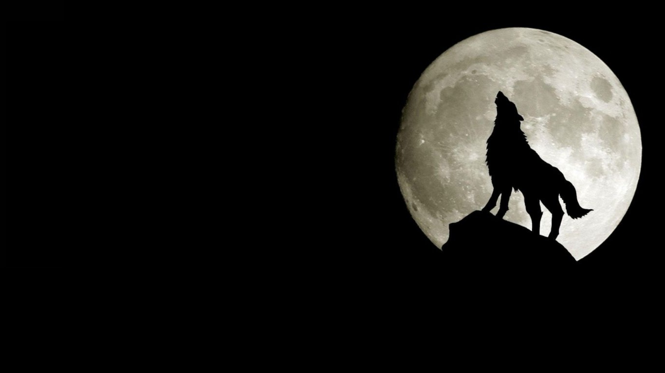 Wolf Animals Dark Howling Moon 1366x768
