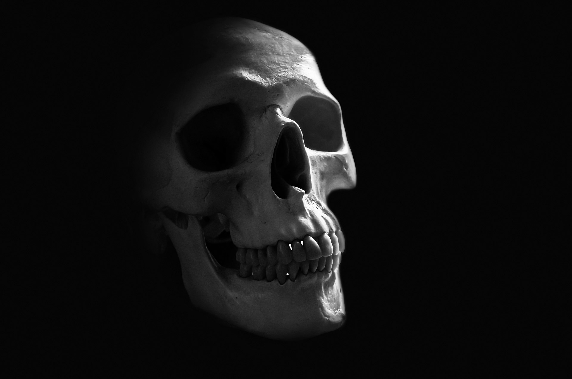 Skull Human Dark Minimalist Anatomy 1920x1272