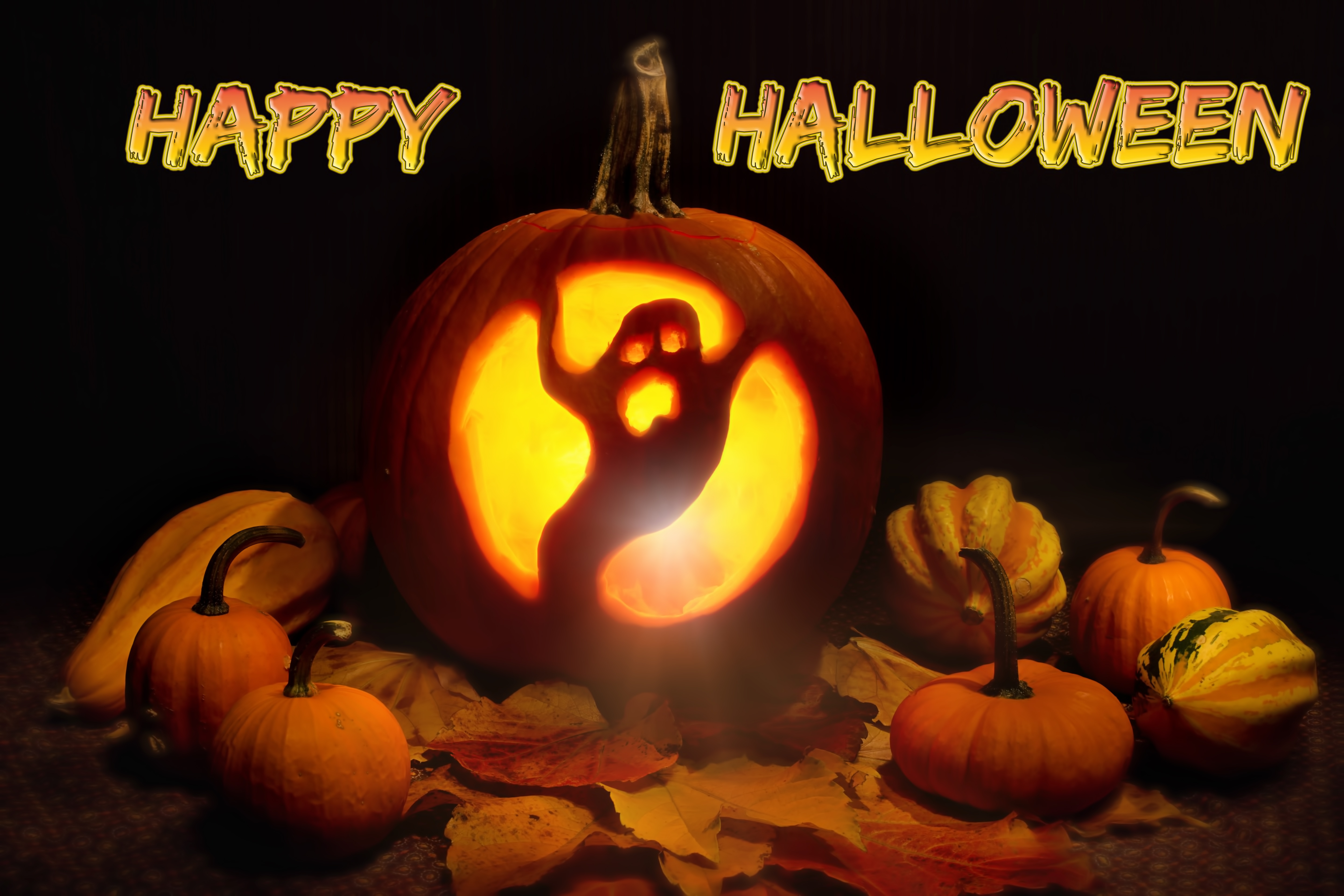 Halloween Holiday Jack O Lantern Pumpkin Happy Halloween 5760x3840